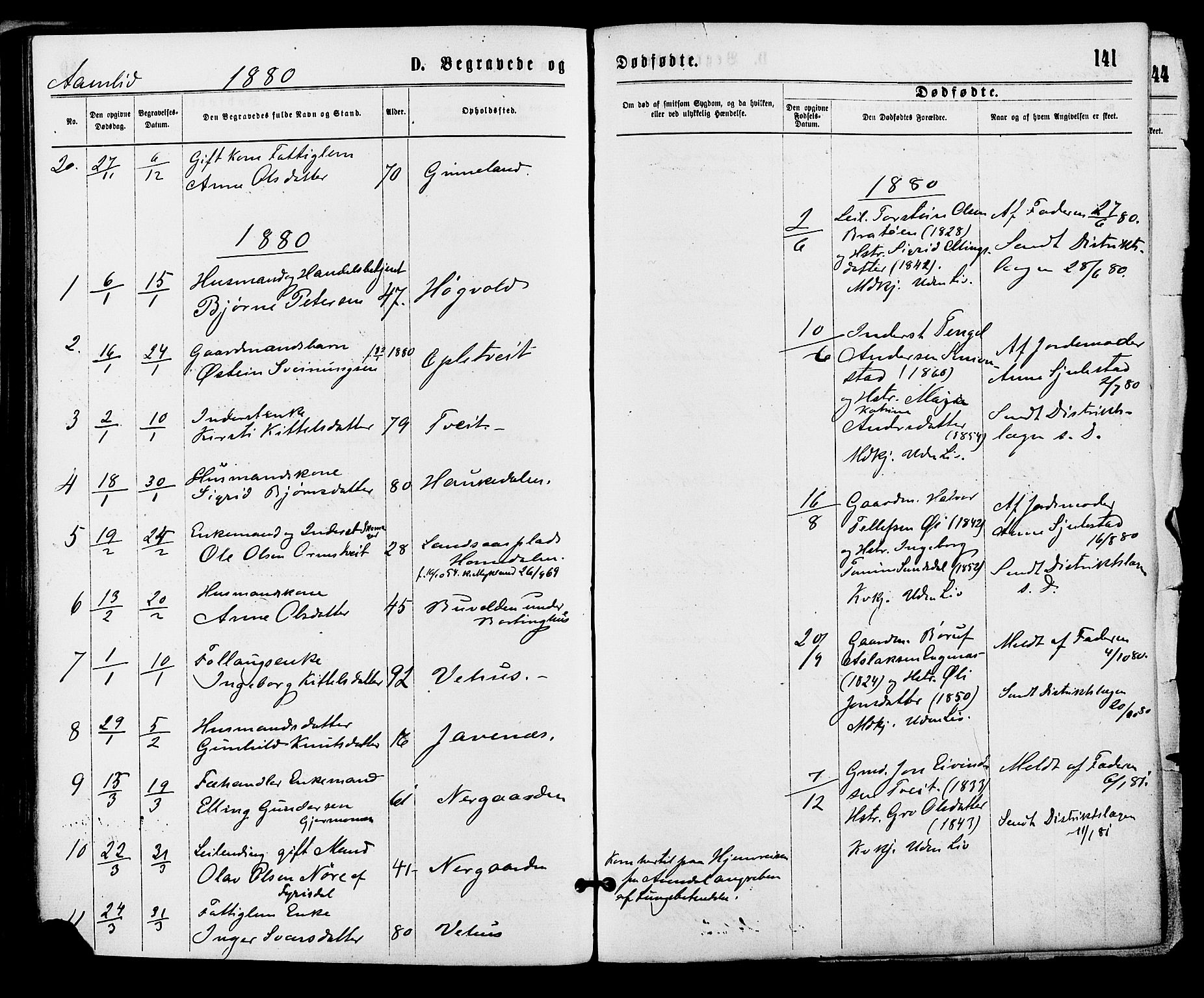 Åmli sokneprestkontor, SAK/1111-0050/F/Fa/Fac/L0009: Parish register (official) no. A 9 /1, 1869-1884, p. 141
