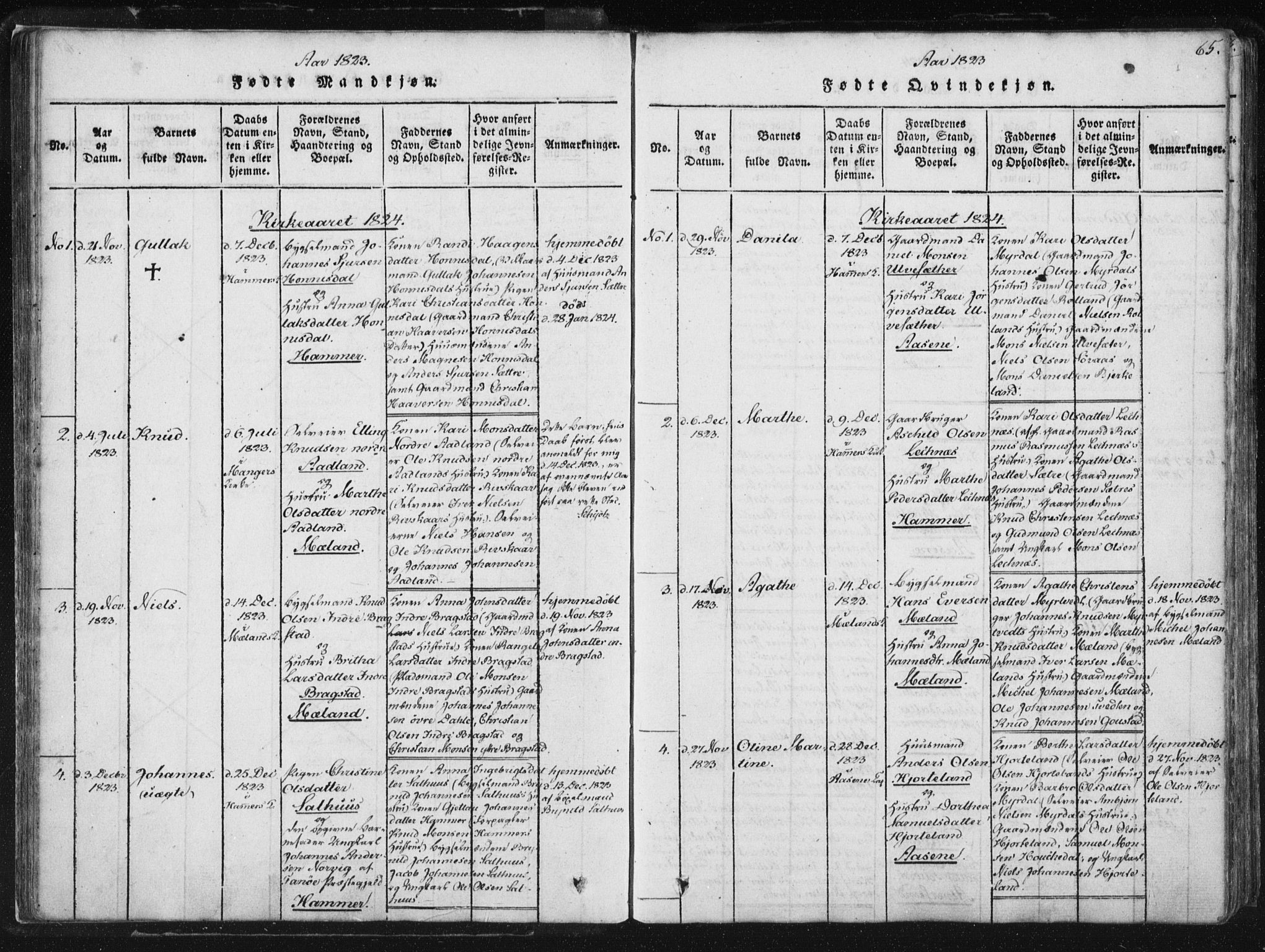 Hamre sokneprestembete, AV/SAB-A-75501/H/Ha/Haa/Haaa/L0010: Parish register (official) no. A 10, 1816-1826, p. 65