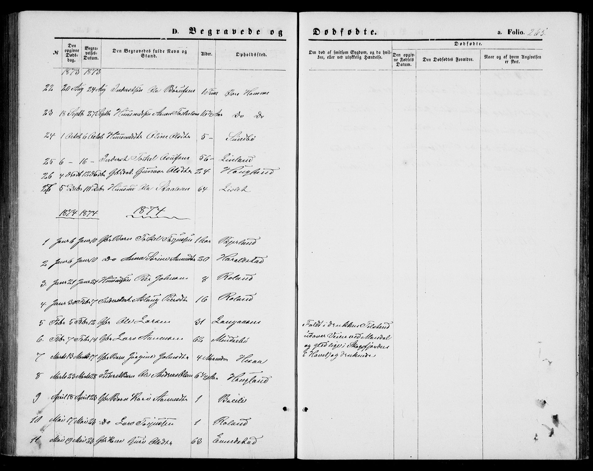 Bjelland sokneprestkontor, AV/SAK-1111-0005/F/Fb/Fba/L0004: Parish register (copy) no. B 4, 1869-1886, p. 265