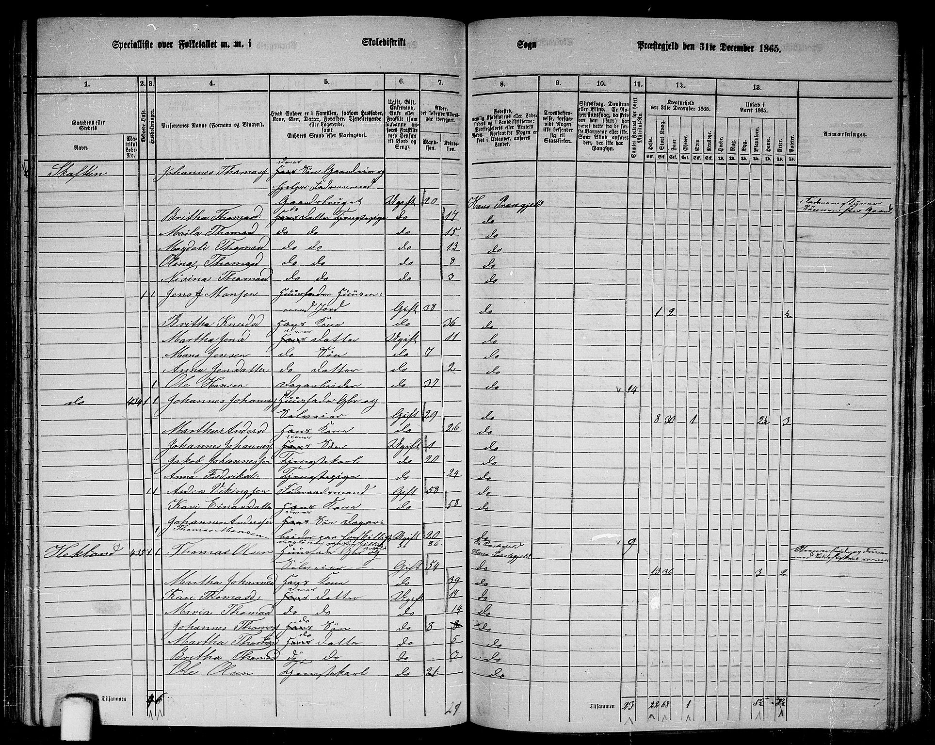 RA, 1865 census for Haus, 1865, p. 171