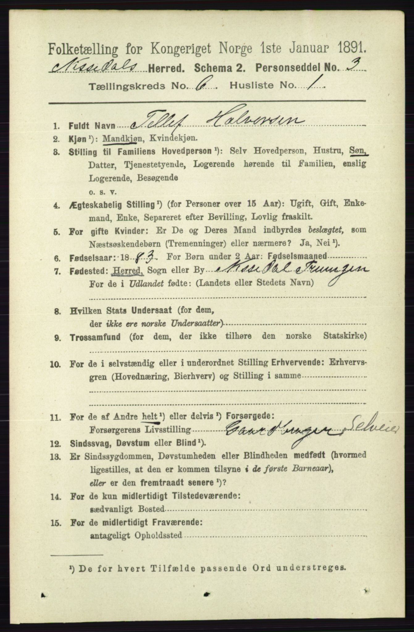 RA, 1891 census for 0830 Nissedal, 1891, p. 1334