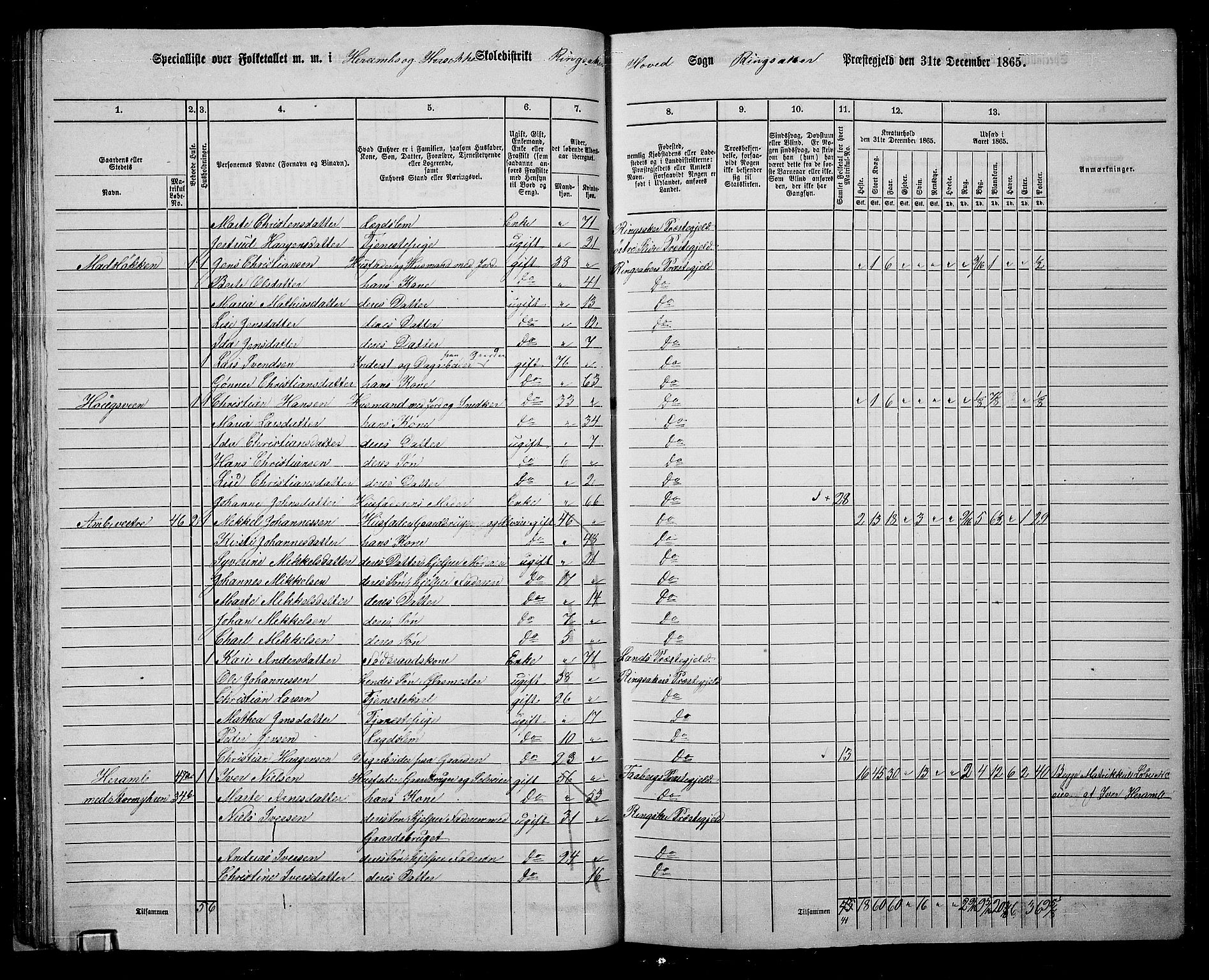 RA, 1865 census for Ringsaker, 1865, p. 67