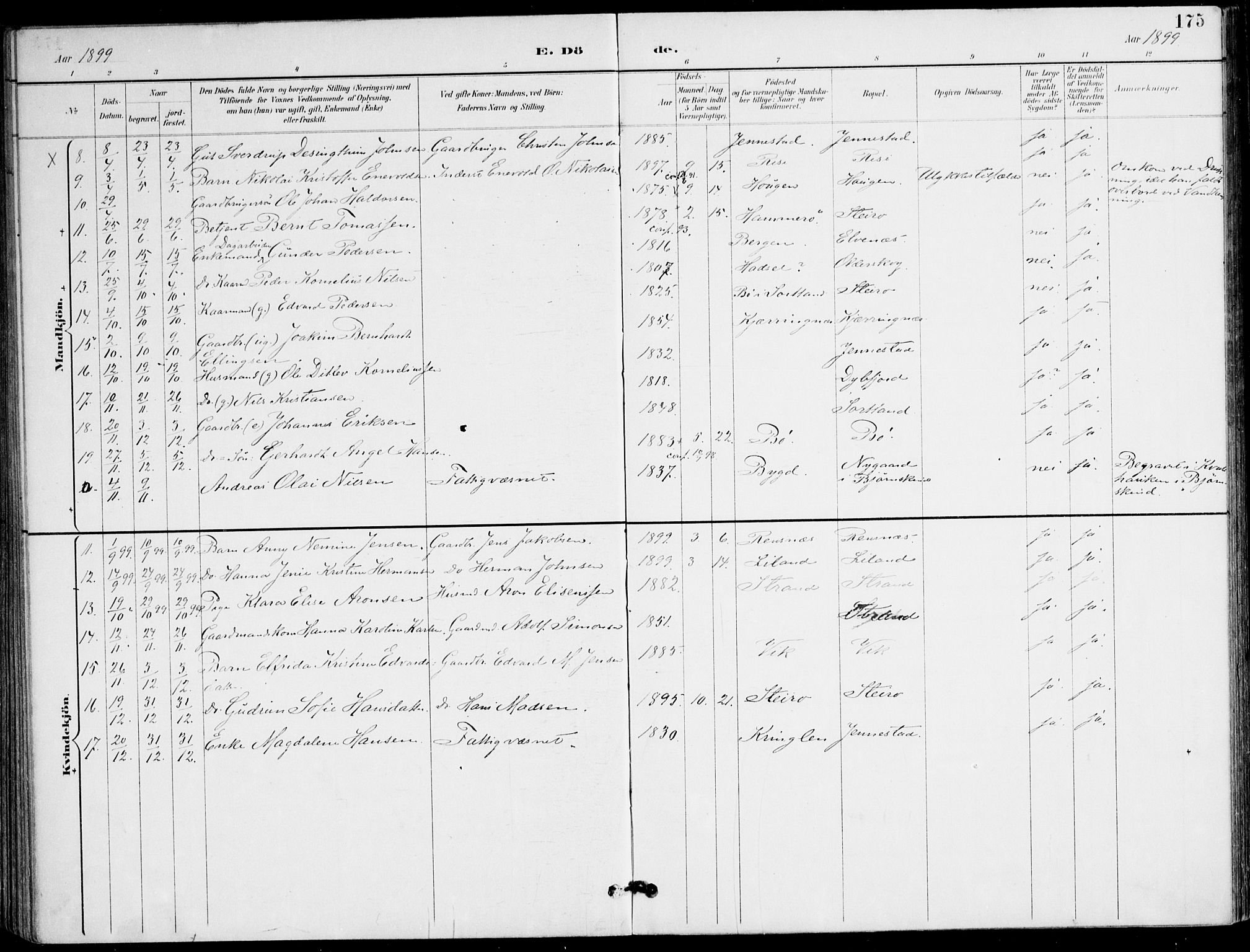 Ministerialprotokoller, klokkerbøker og fødselsregistre - Nordland, AV/SAT-A-1459/895/L1372: Parish register (official) no. 895A07, 1894-1914, p. 175