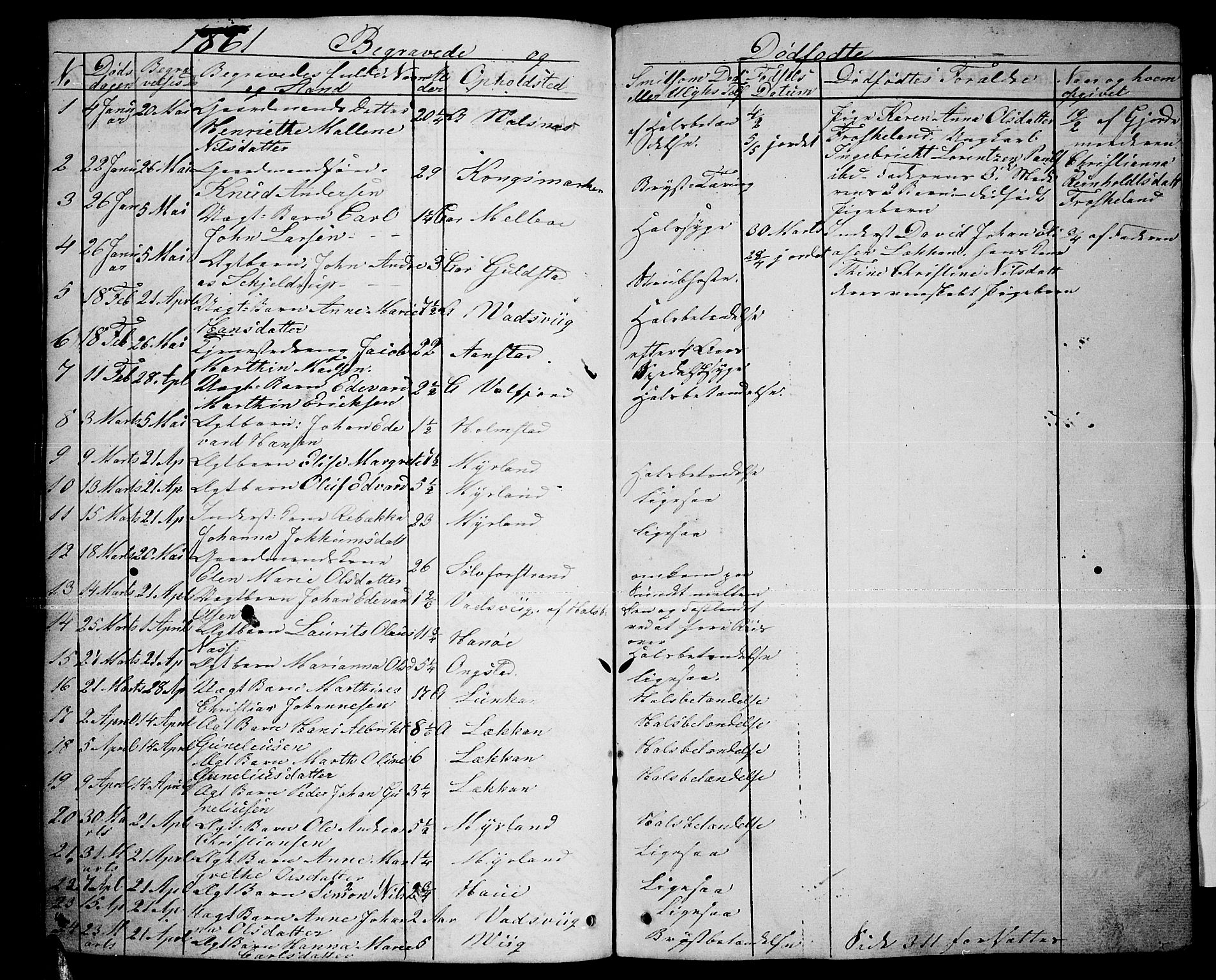 Ministerialprotokoller, klokkerbøker og fødselsregistre - Nordland, AV/SAT-A-1459/888/L1265: Parish register (copy) no. 888C03, 1850-1863, p. 246b