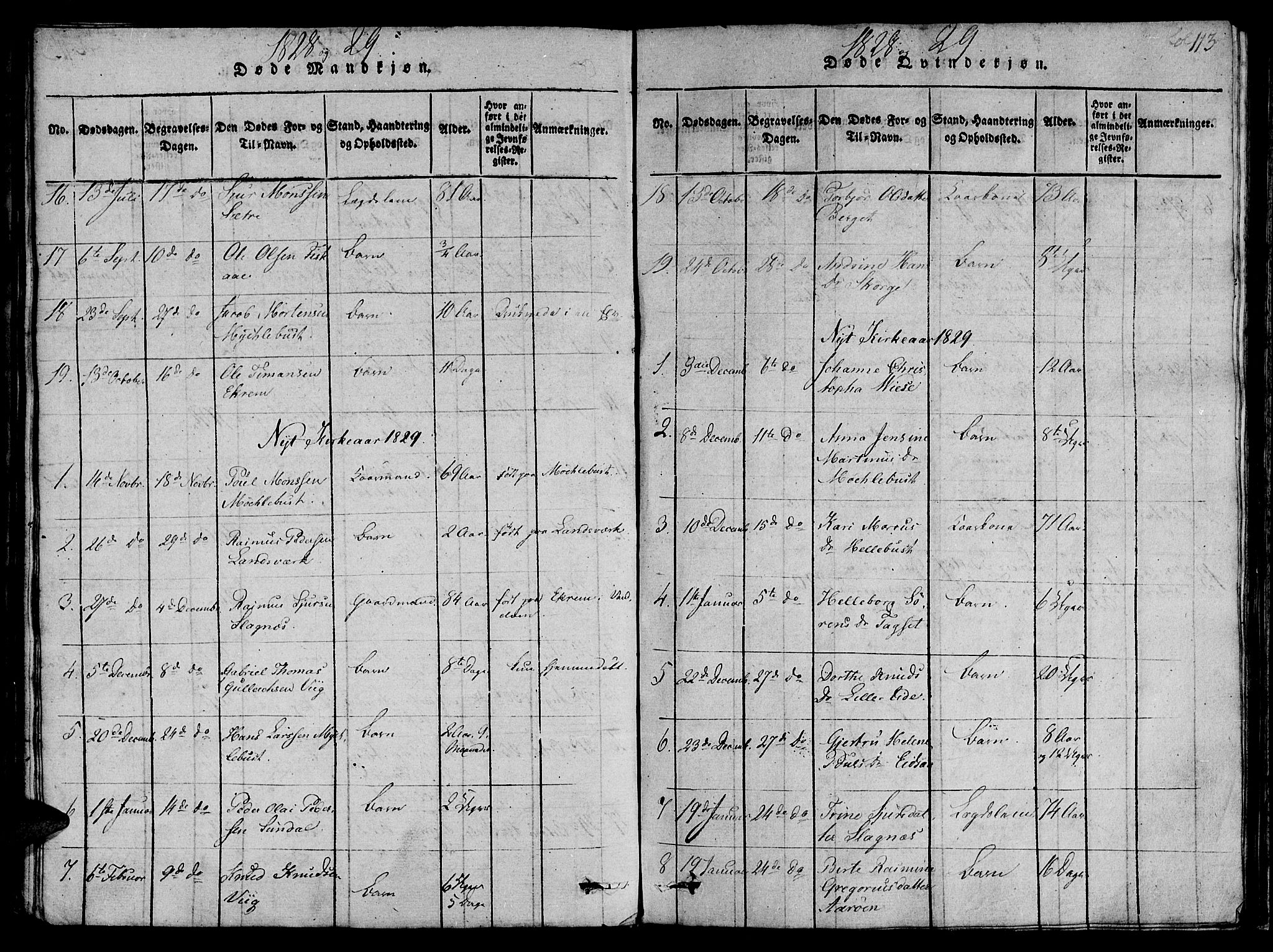 Ministerialprotokoller, klokkerbøker og fødselsregistre - Møre og Romsdal, AV/SAT-A-1454/501/L0004: Parish register (official) no. 501A04, 1816-1831, p. 113