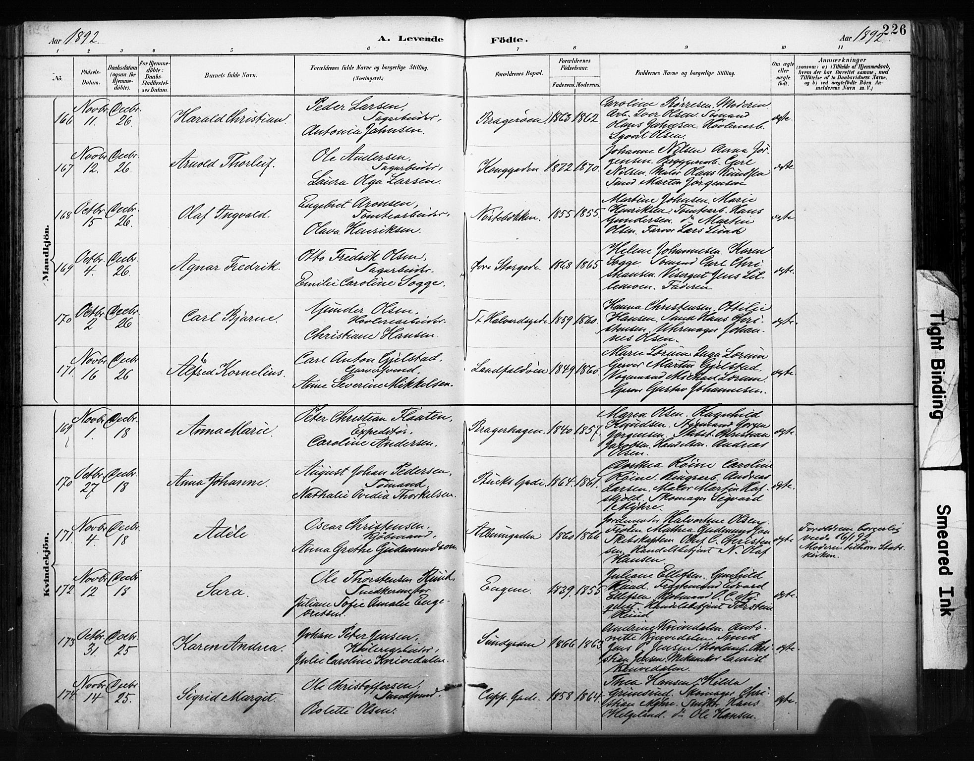 Bragernes kirkebøker, AV/SAKO-A-6/F/Fb/L0007: Parish register (official) no. II 7, 1885-1893, p. 226