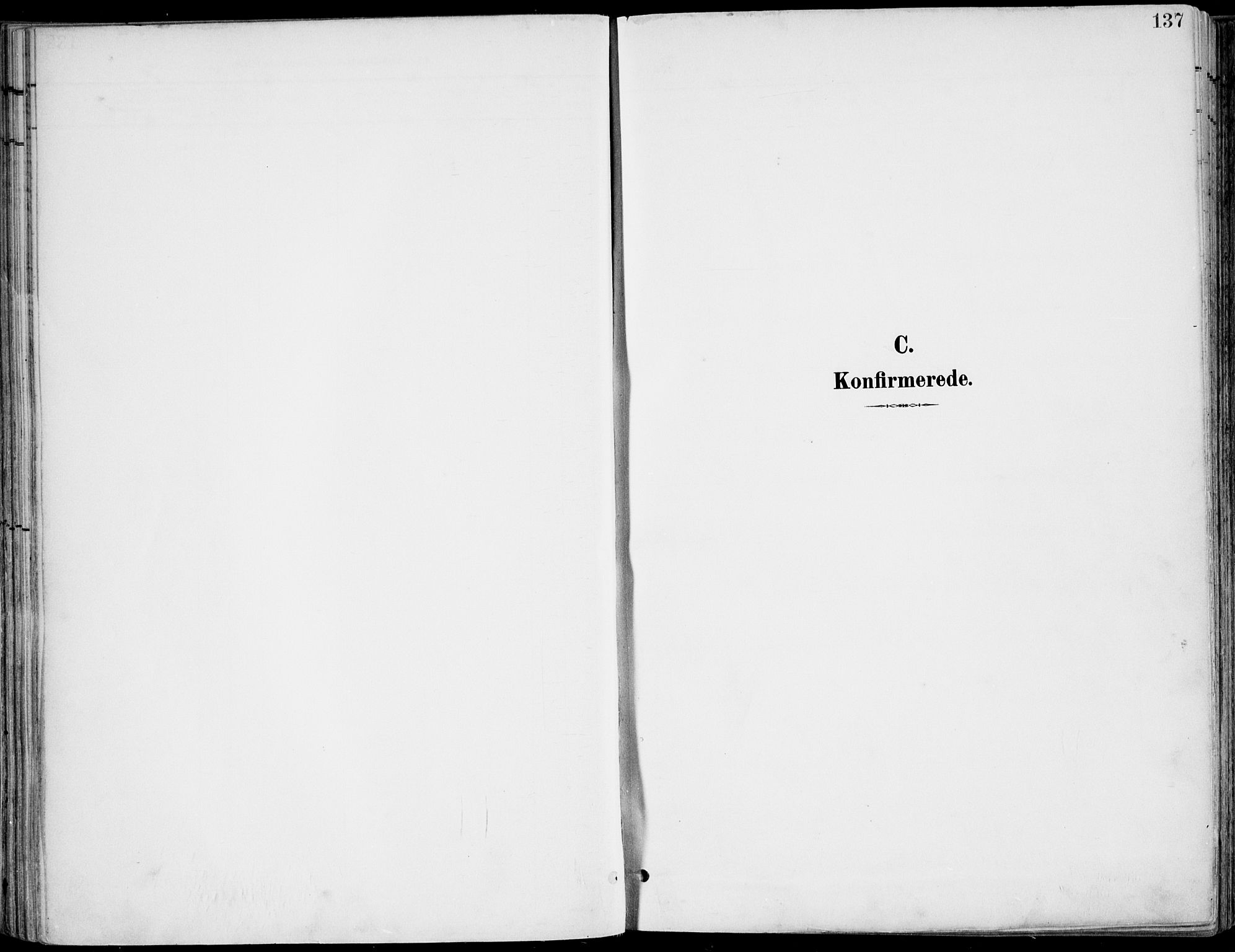 Røyken kirkebøker, SAKO/A-241/F/Fa/L0009: Parish register (official) no. 9, 1898-1911, p. 137