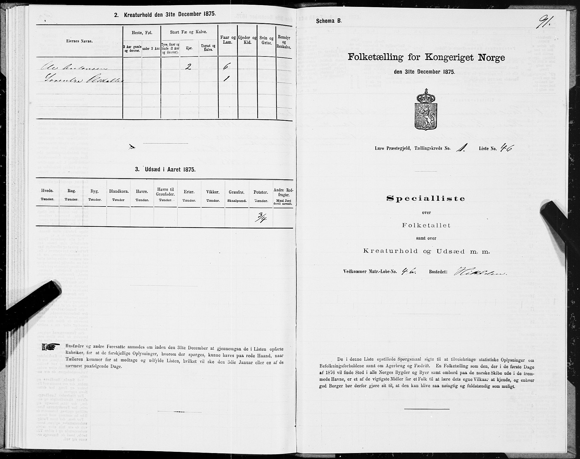 SAT, 1875 census for 1834P Lurøy, 1875, p. 1091