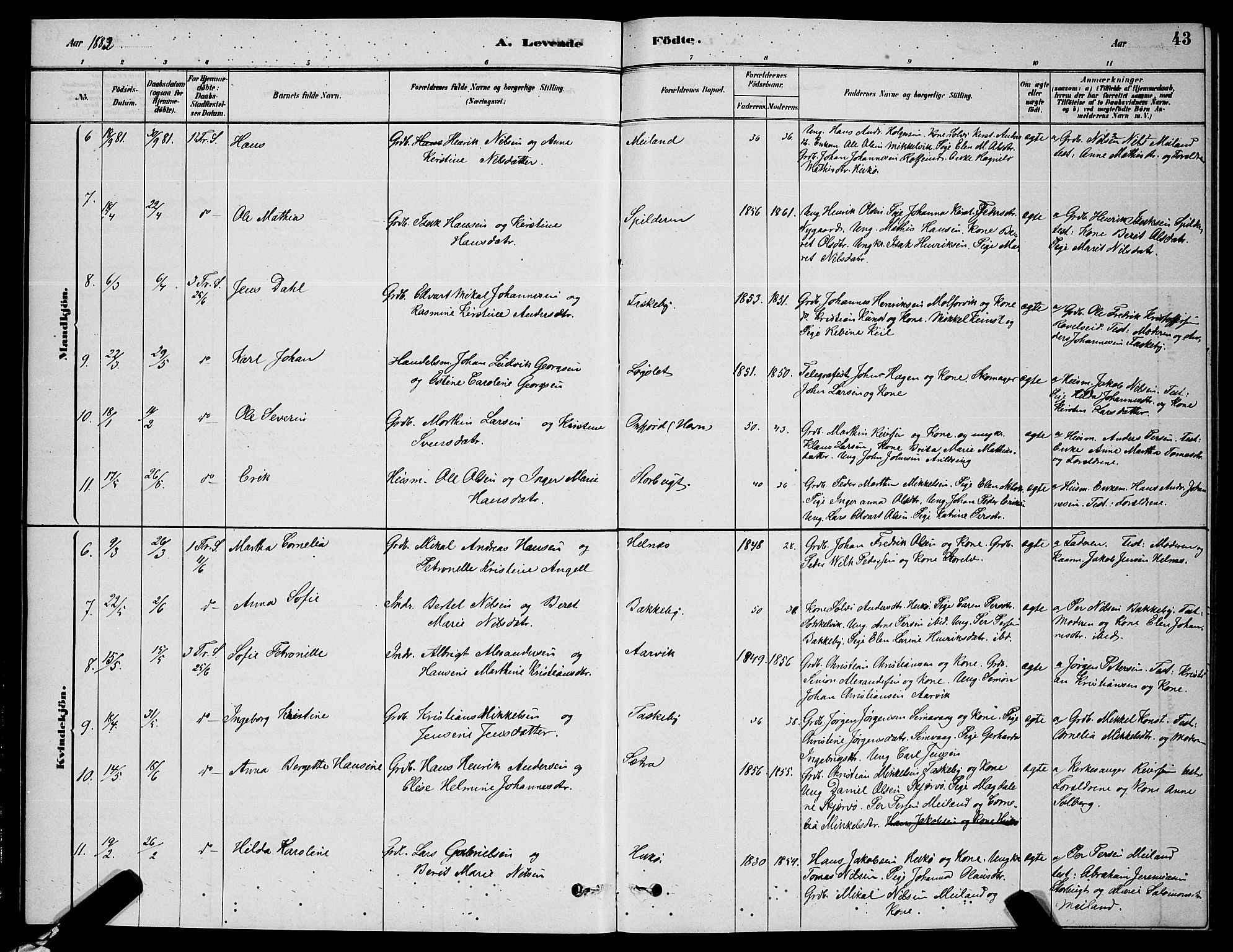 Skjervøy sokneprestkontor, AV/SATØ-S-1300/H/Ha/Hab/L0006klokker: Parish register (copy) no. 6, 1878-1888, p. 43