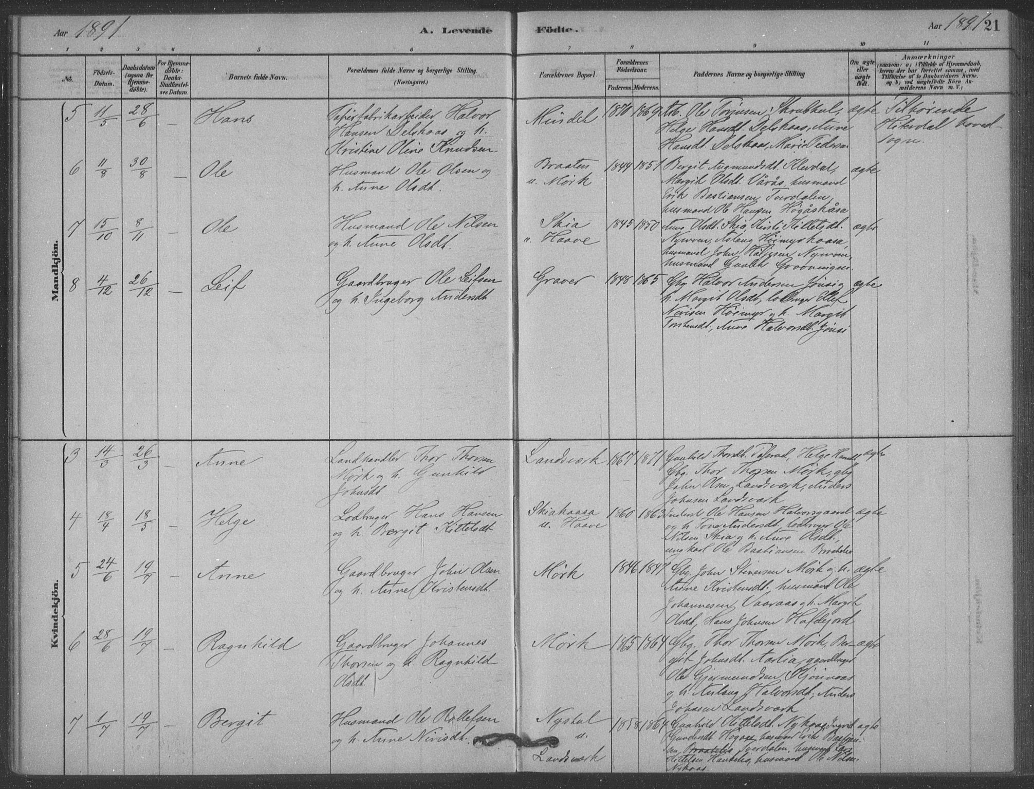 Heddal kirkebøker, SAKO/A-268/F/Fb/L0002: Parish register (official) no. II 2, 1878-1913, p. 21