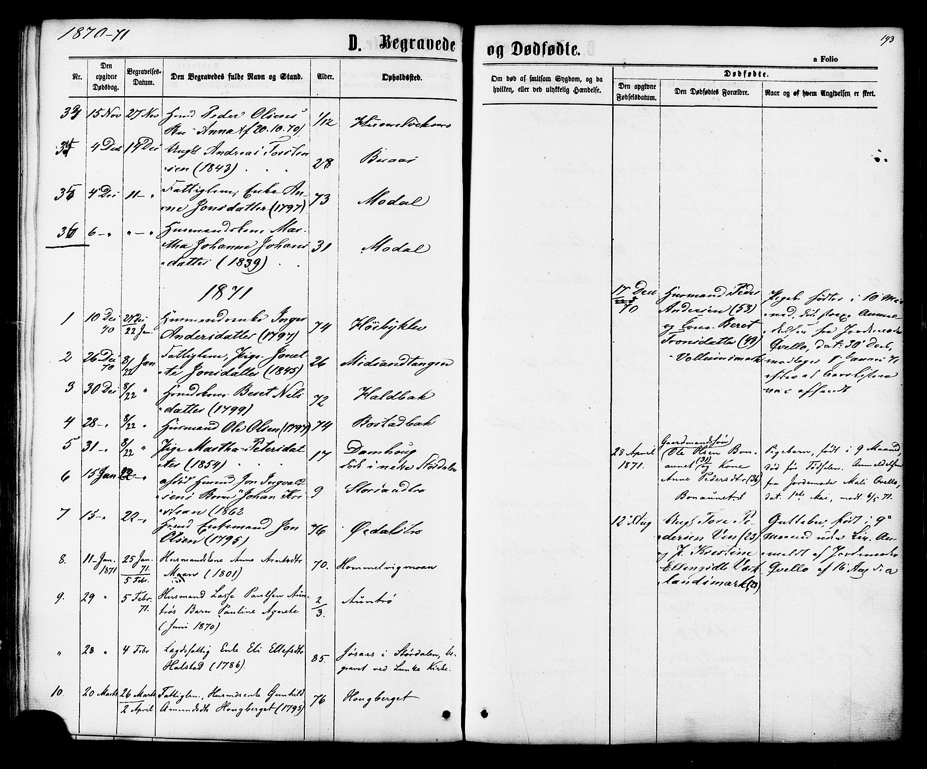 Ministerialprotokoller, klokkerbøker og fødselsregistre - Sør-Trøndelag, SAT/A-1456/616/L0409: Parish register (official) no. 616A06, 1865-1877, p. 193