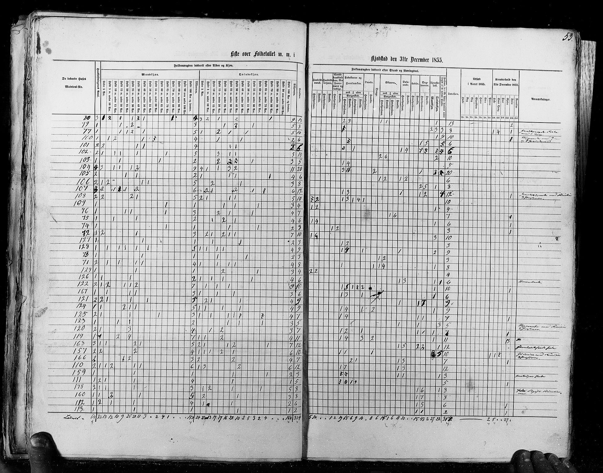 RA, Census 1855, vol. 8: Risør-Vadsø, 1855, p. 53