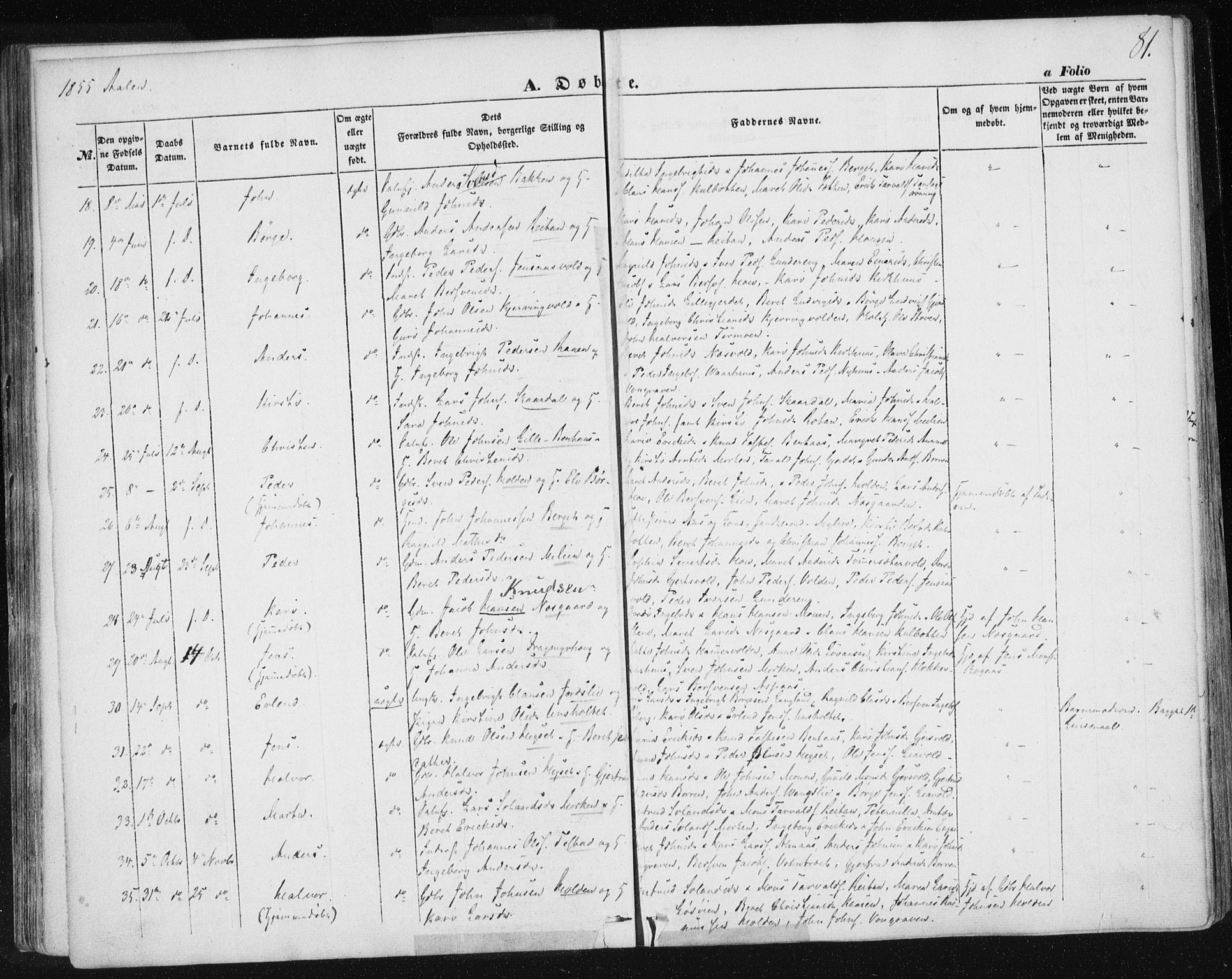 Ministerialprotokoller, klokkerbøker og fødselsregistre - Sør-Trøndelag, SAT/A-1456/685/L0965: Parish register (official) no. 685A06 /3, 1846-1859, p. 81