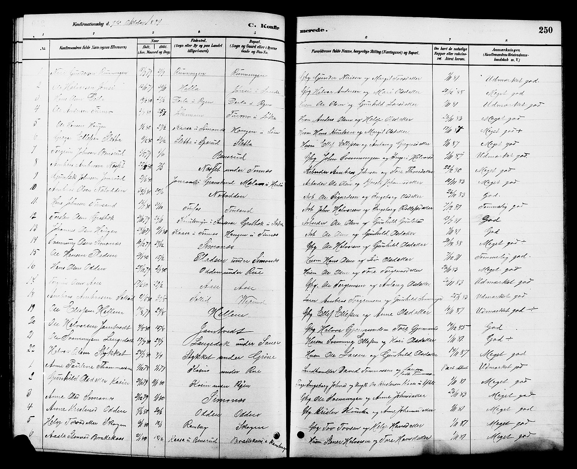 Heddal kirkebøker, SAKO/A-268/G/Ga/L0002: Parish register (copy) no. I 2, 1879-1908, p. 250