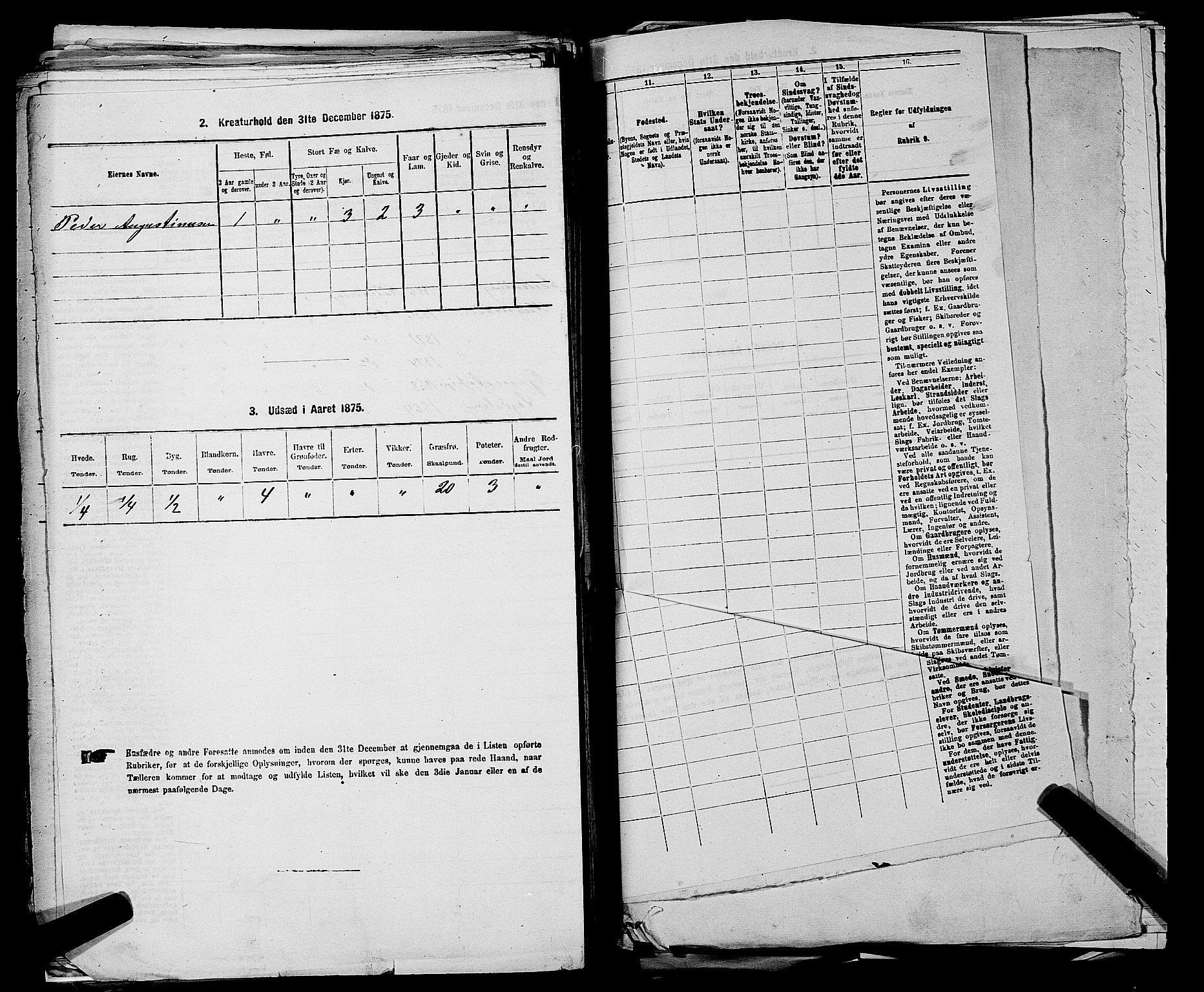 RA, 1875 census for 0120P Rødenes, 1875, p. 703