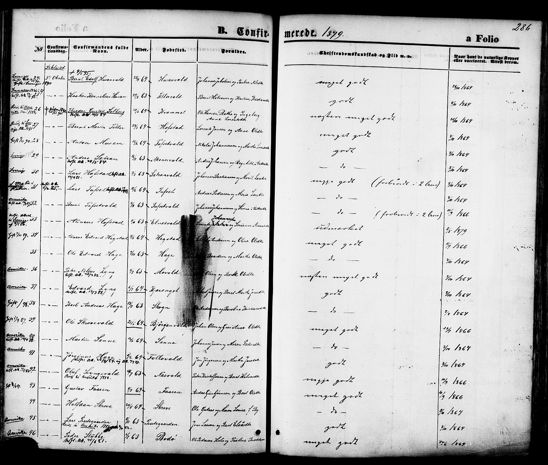 Ministerialprotokoller, klokkerbøker og fødselsregistre - Nord-Trøndelag, SAT/A-1458/723/L0242: Parish register (official) no. 723A11, 1870-1880, p. 286