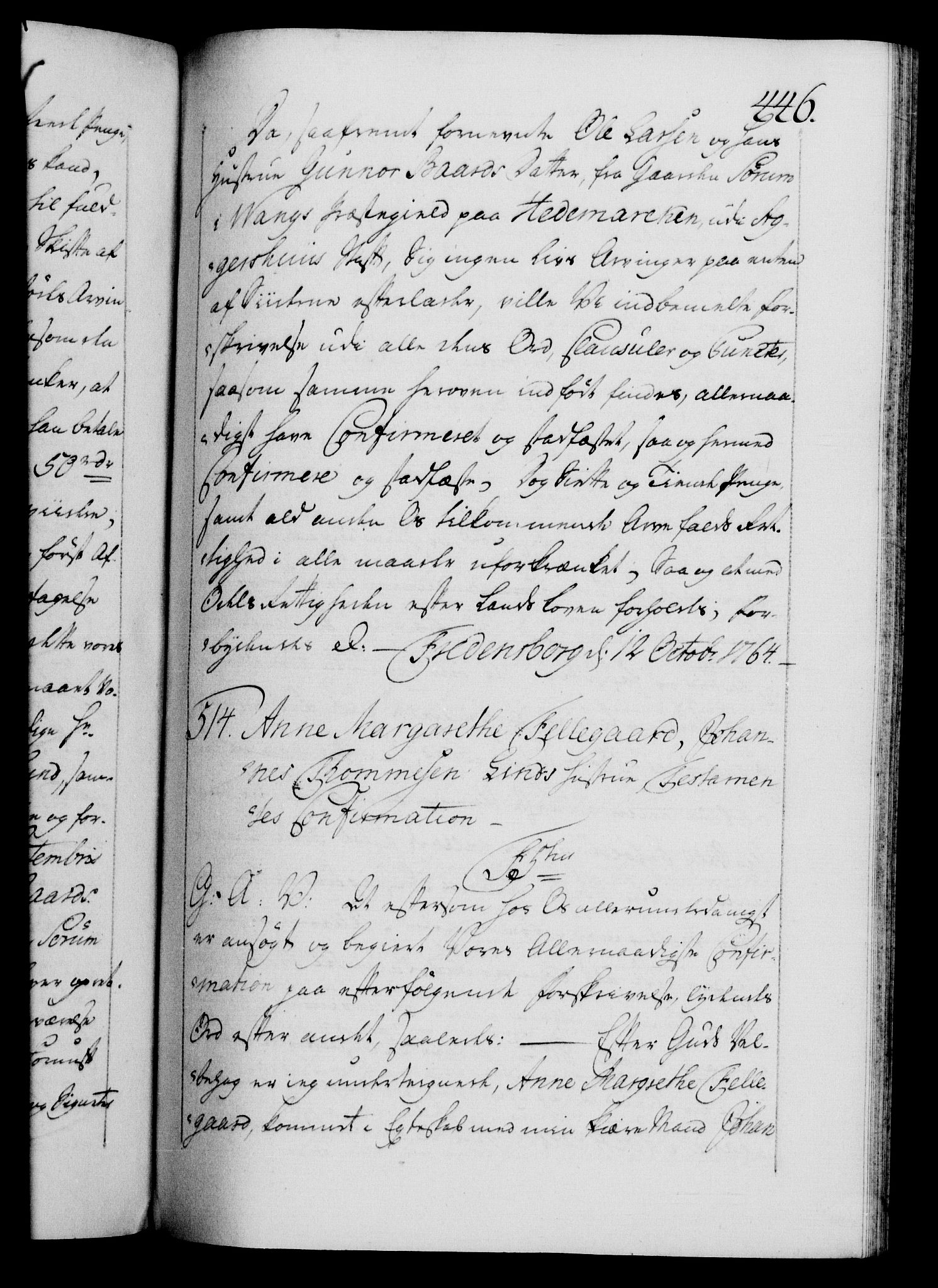 Danske Kanselli 1572-1799, AV/RA-EA-3023/F/Fc/Fca/Fcaa/L0042: Norske registre, 1763-1766, p. 446a