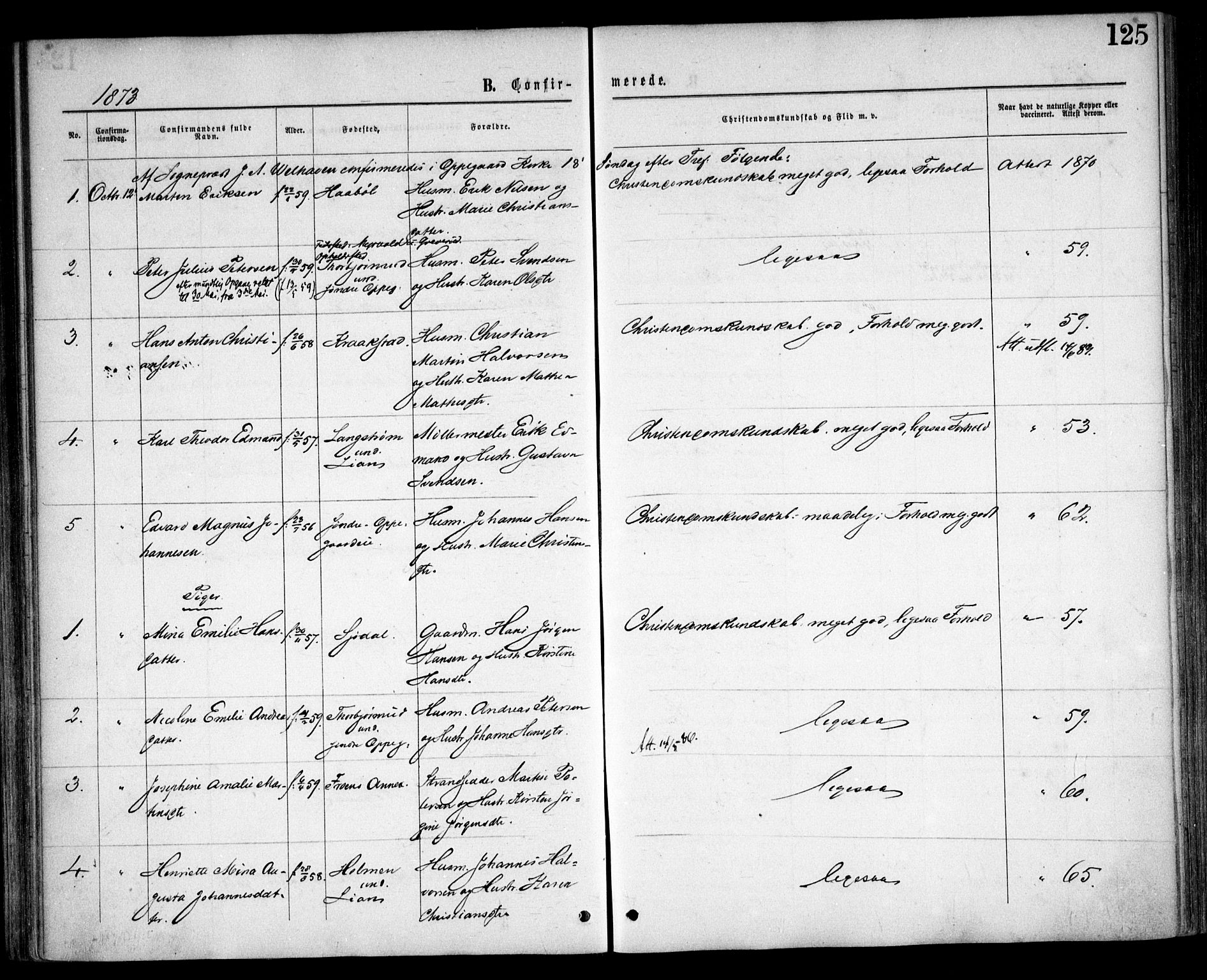 Nesodden prestekontor Kirkebøker, AV/SAO-A-10013/F/Fa/L0008: Parish register (official) no. I 8, 1869-1879, p. 125