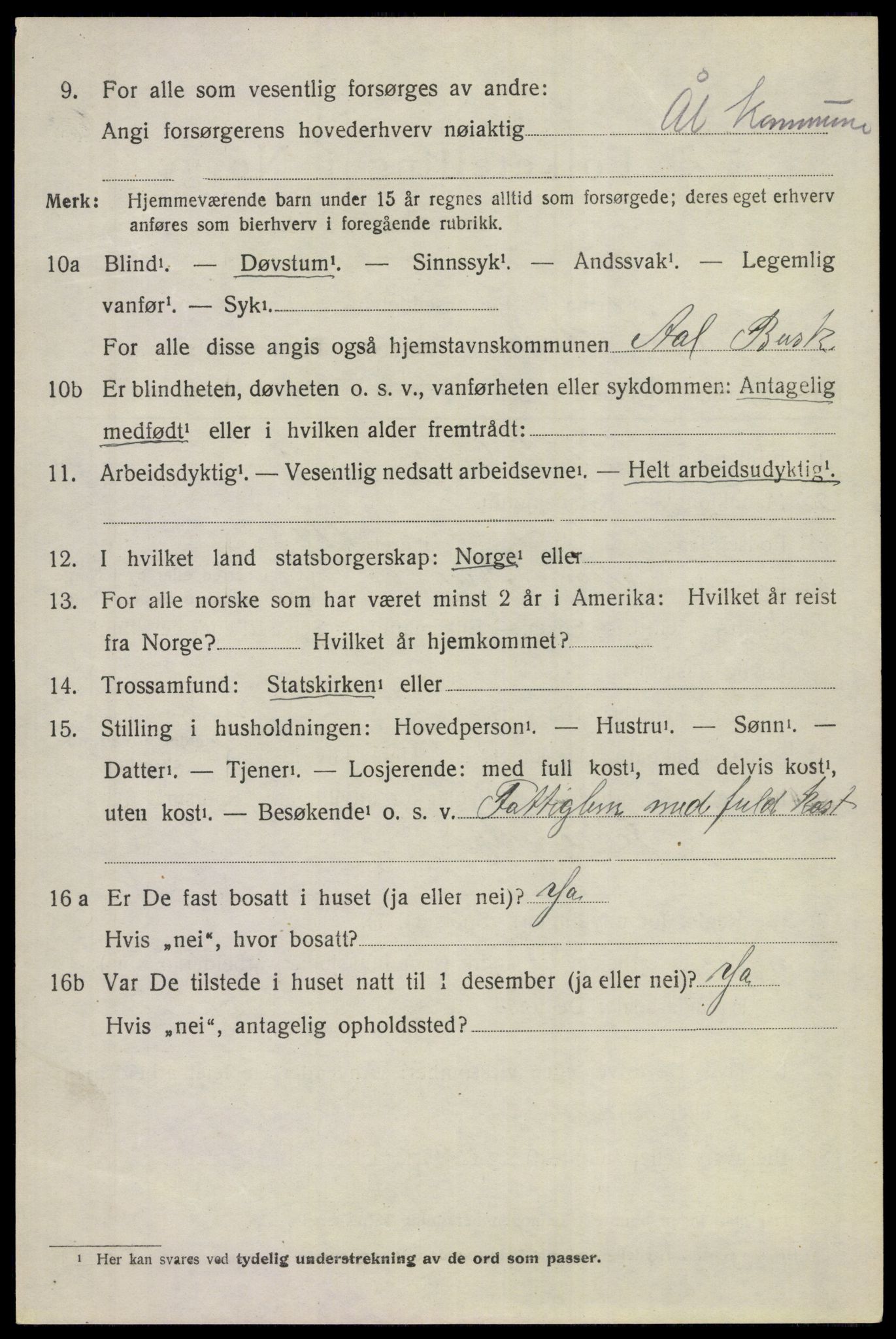 SAKO, 1920 census for Ål, 1920, p. 4799