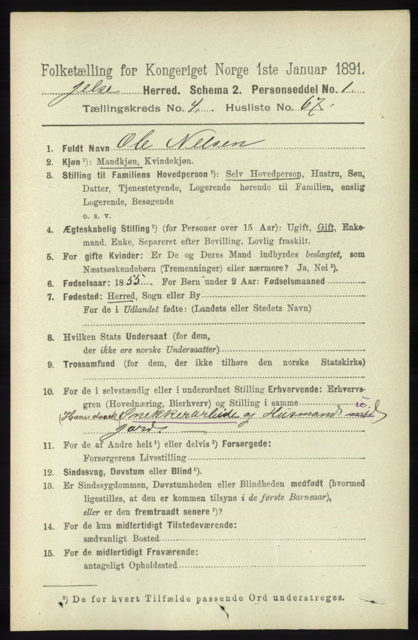 RA, 1891 census for 1138 Jelsa, 1891, p. 1024