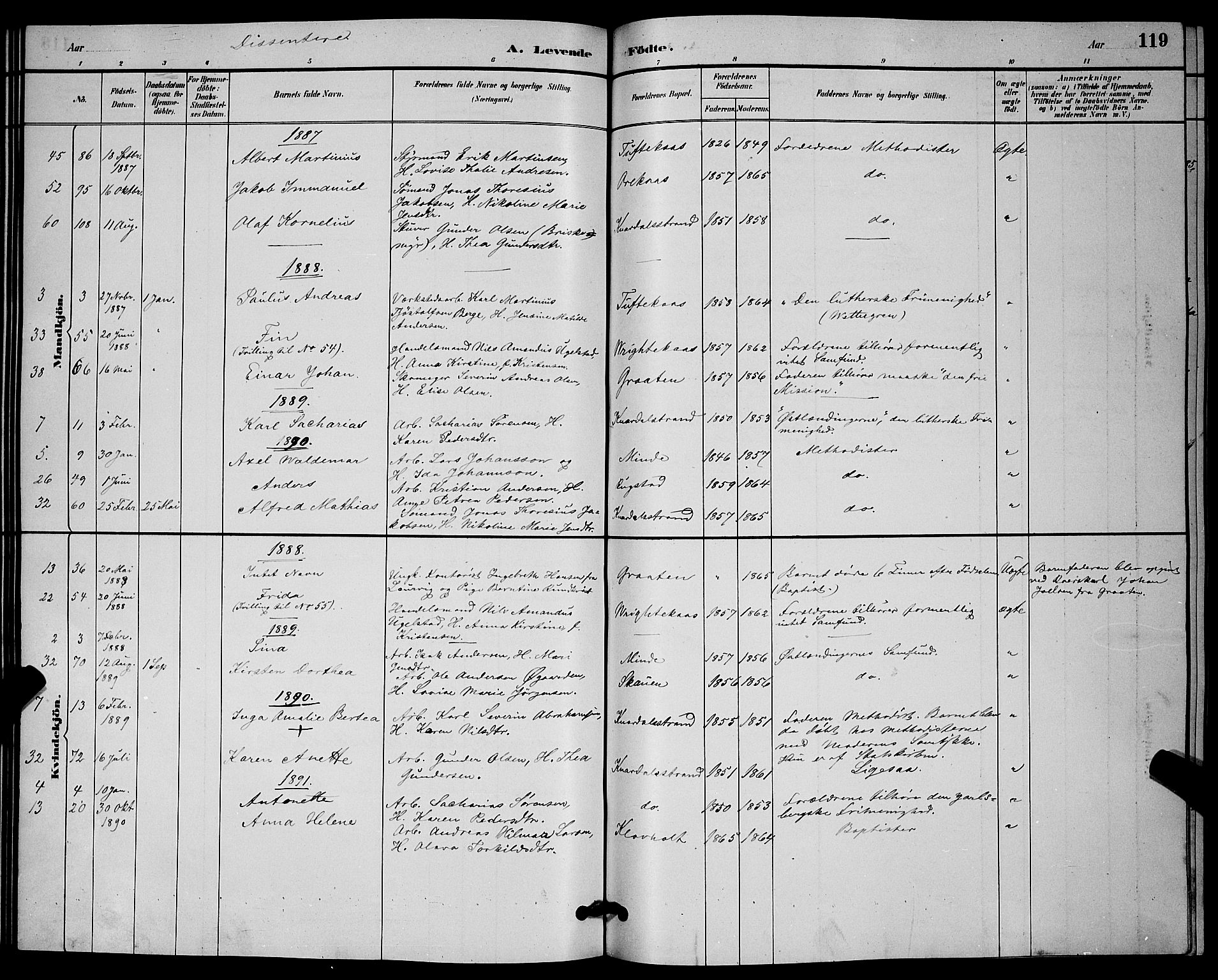 Solum kirkebøker, SAKO/A-306/G/Ga/L0007: Parish register (copy) no. I 7, 1884-1898, p. 119