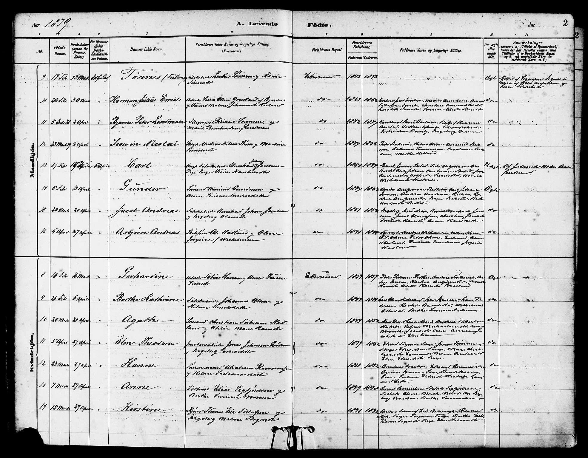 Eigersund sokneprestkontor, AV/SAST-A-101807/S08/L0015: Parish register (official) no. A 15, 1879-1892, p. 2