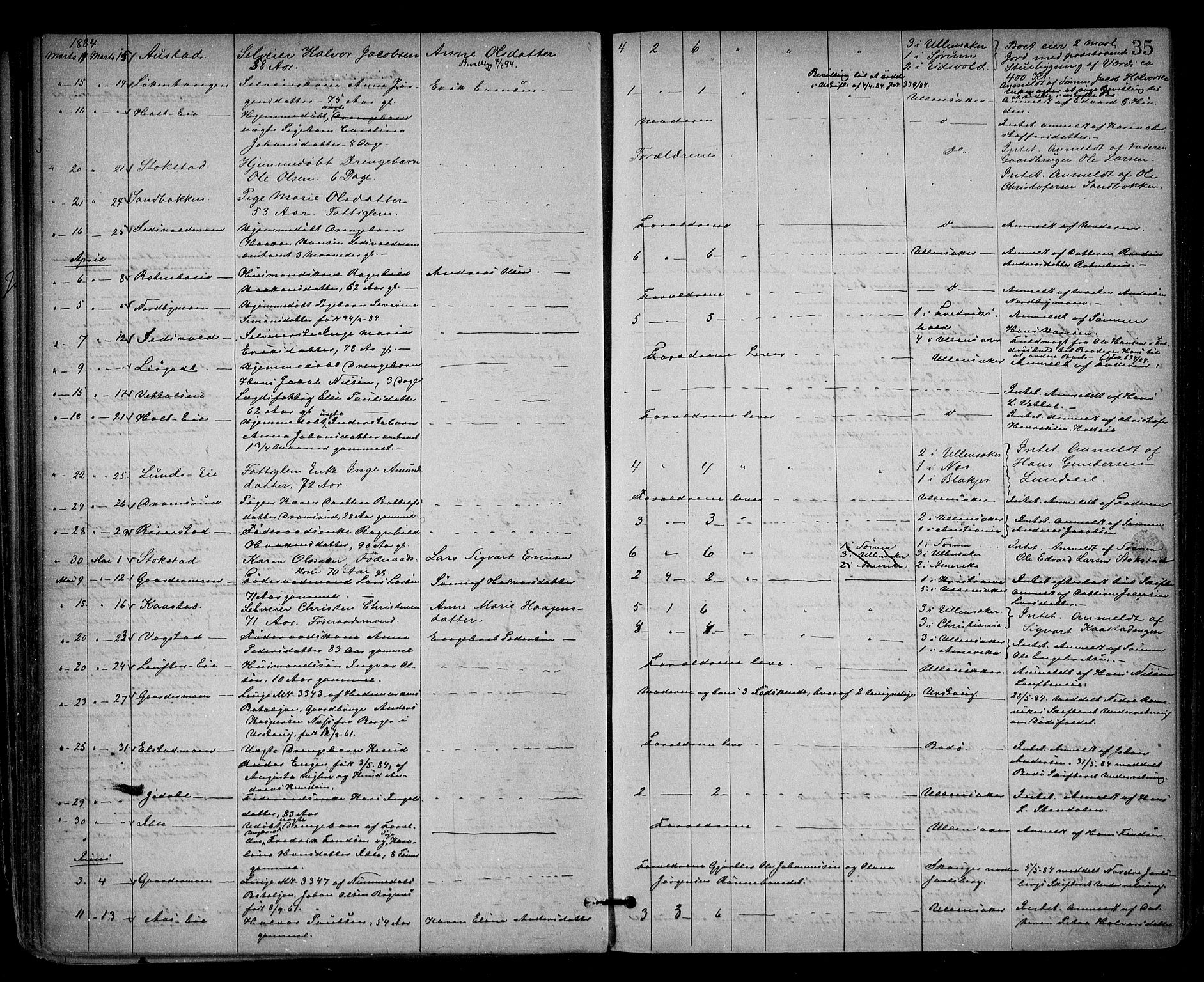 Nes tingrett, AV/SAO-A-10548/H/Ha/Haa/L0001: Dødsfallsprotokoll, 1876-1905, p. 35