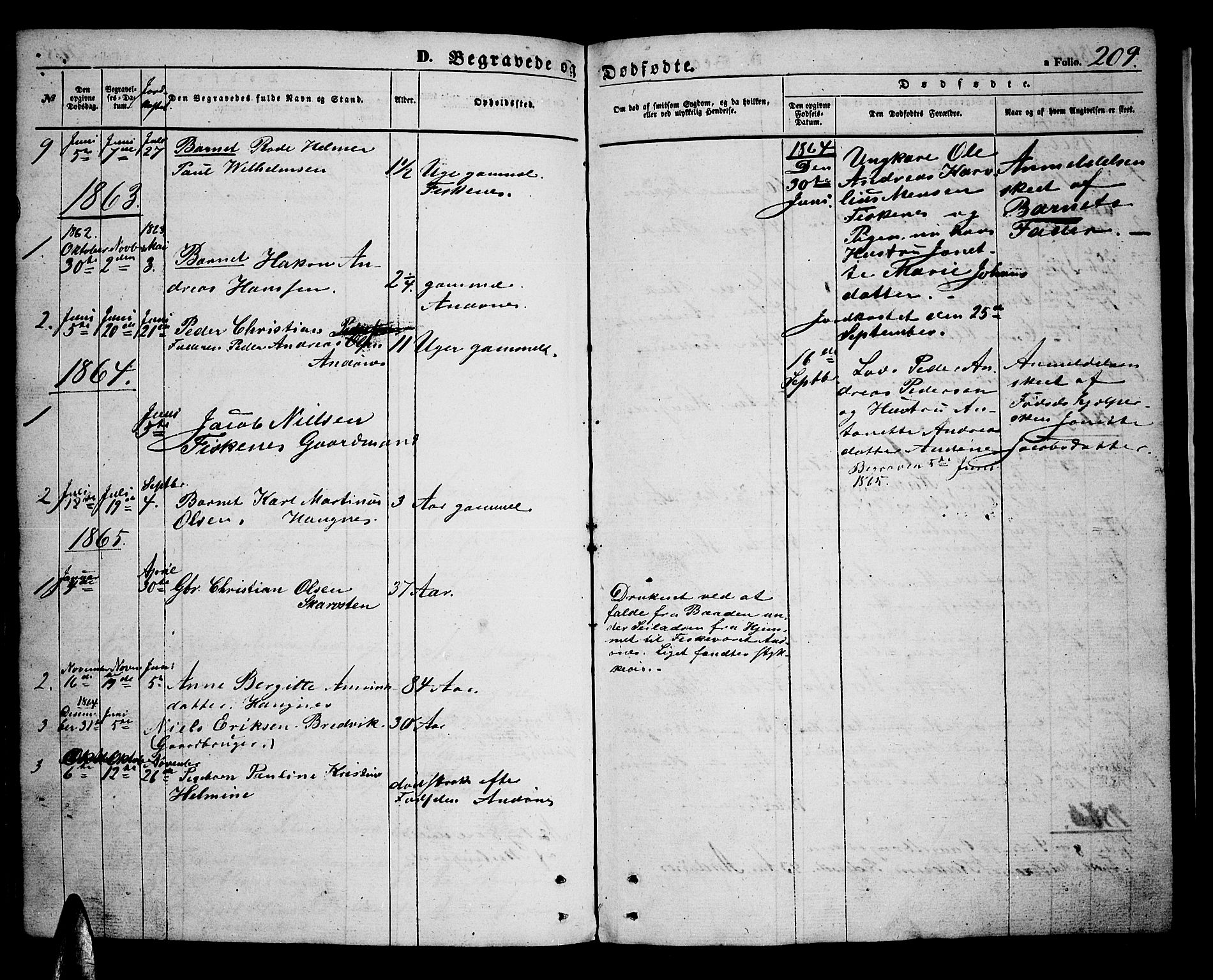 Ministerialprotokoller, klokkerbøker og fødselsregistre - Nordland, AV/SAT-A-1459/899/L1447: Parish register (copy) no. 899C02, 1855-1886, p. 209