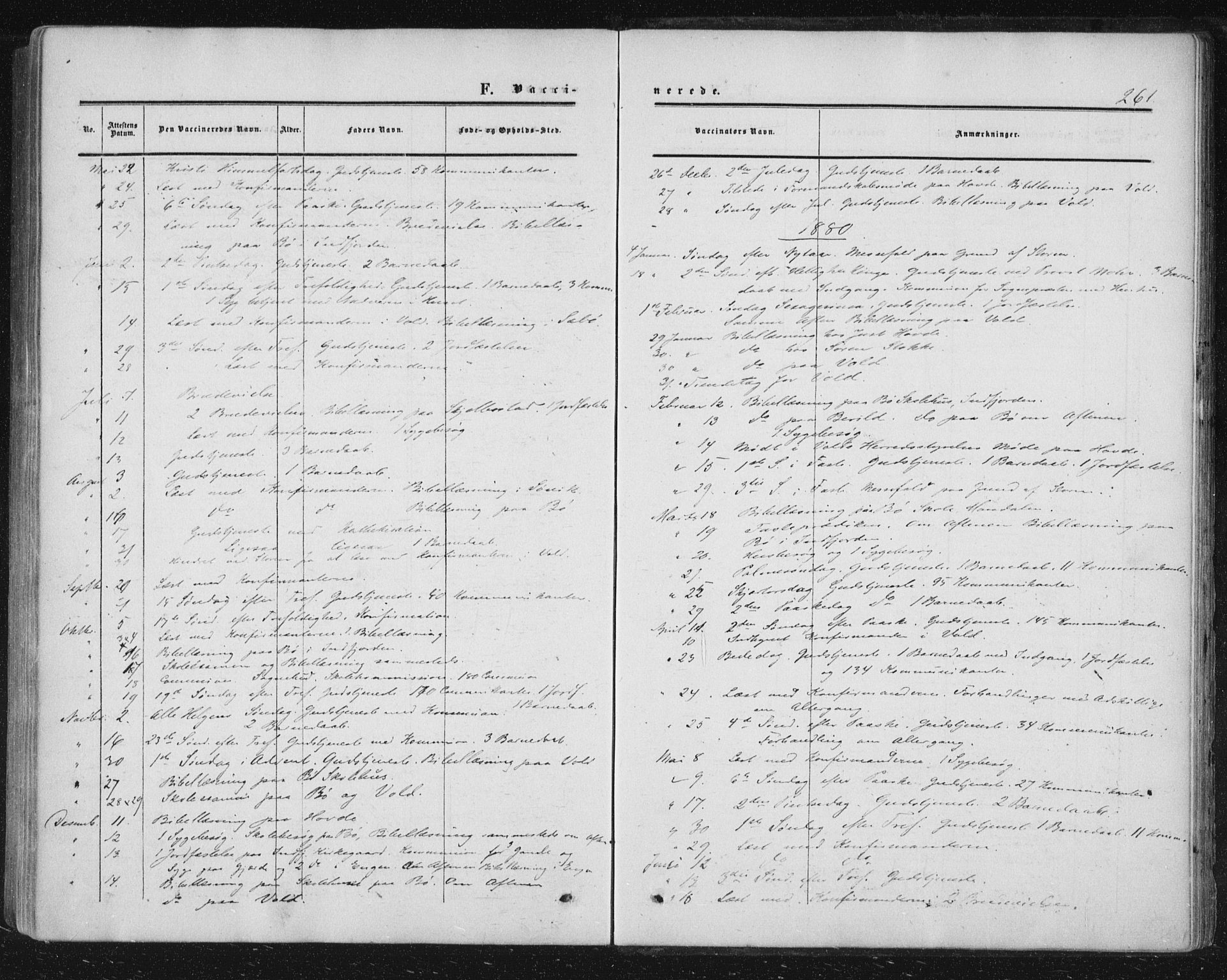 Ministerialprotokoller, klokkerbøker og fødselsregistre - Møre og Romsdal, AV/SAT-A-1454/543/L0562: Parish register (official) no. 543A02, 1854-1884, p. 261