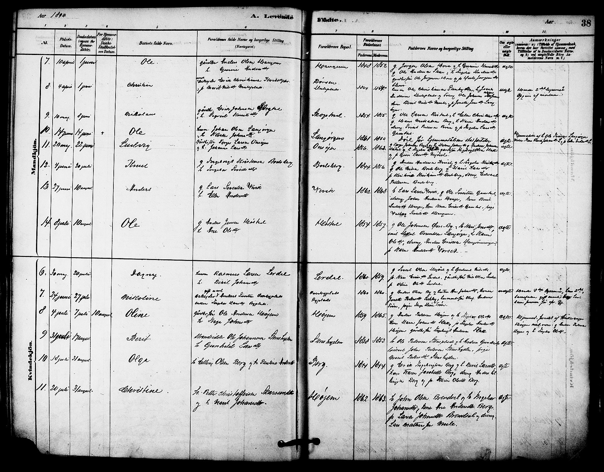 Ministerialprotokoller, klokkerbøker og fødselsregistre - Sør-Trøndelag, AV/SAT-A-1456/612/L0378: Parish register (official) no. 612A10, 1878-1897, p. 38