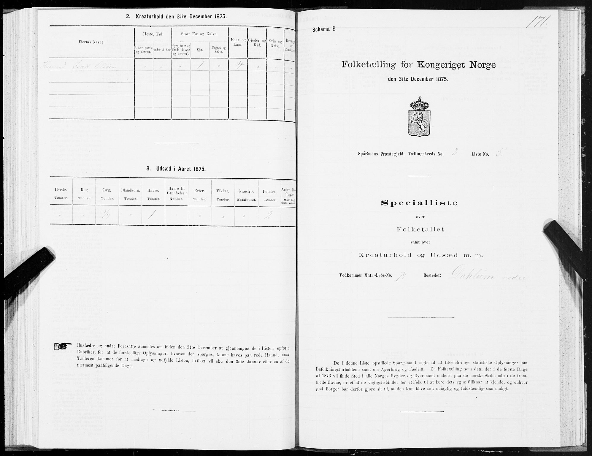 SAT, 1875 census for 1731P Sparbu, 1875, p. 1171