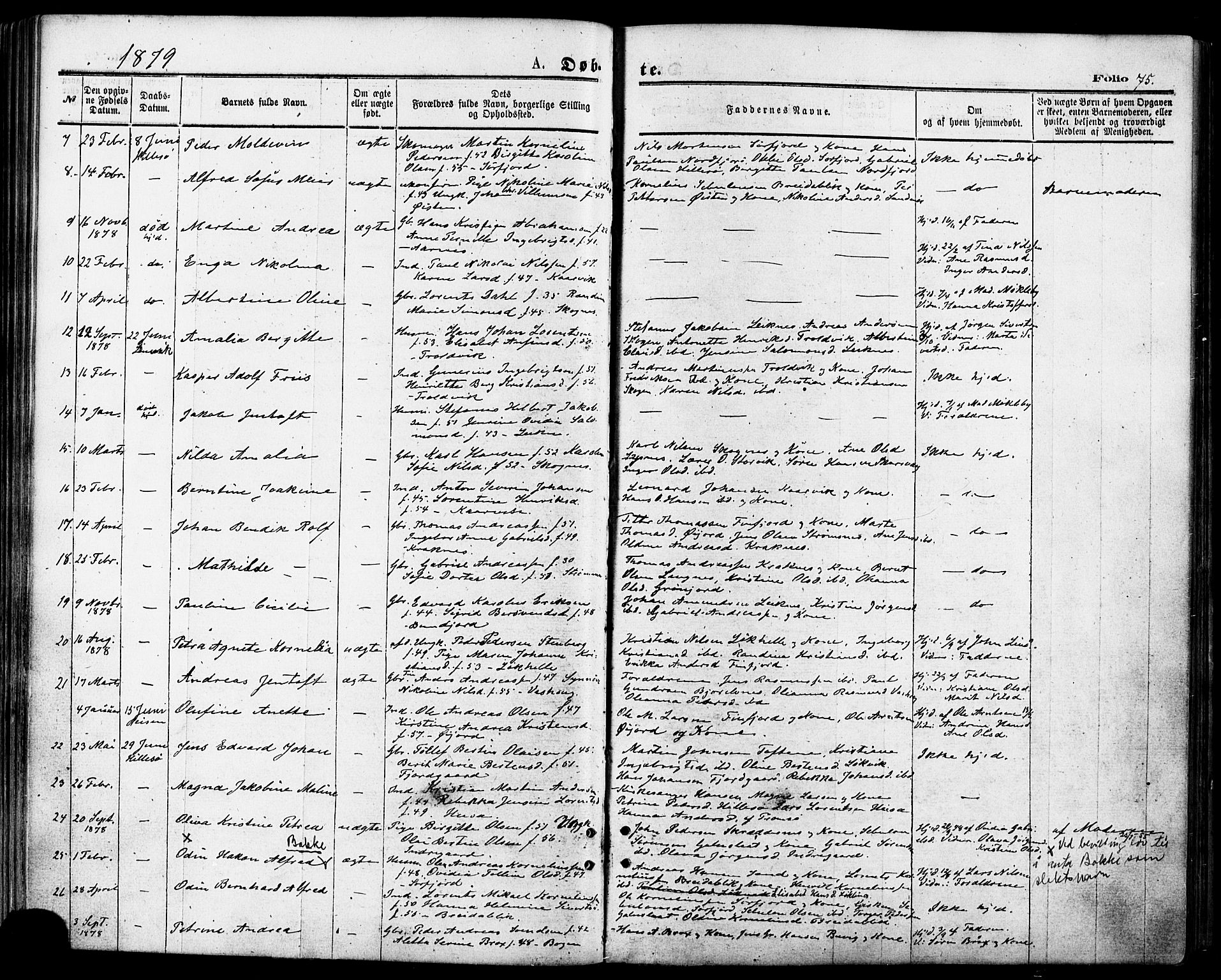Lenvik sokneprestembete, SATØ/S-1310/H/Ha/Haa/L0010kirke: Parish register (official) no. 10, 1873-1880, p. 75