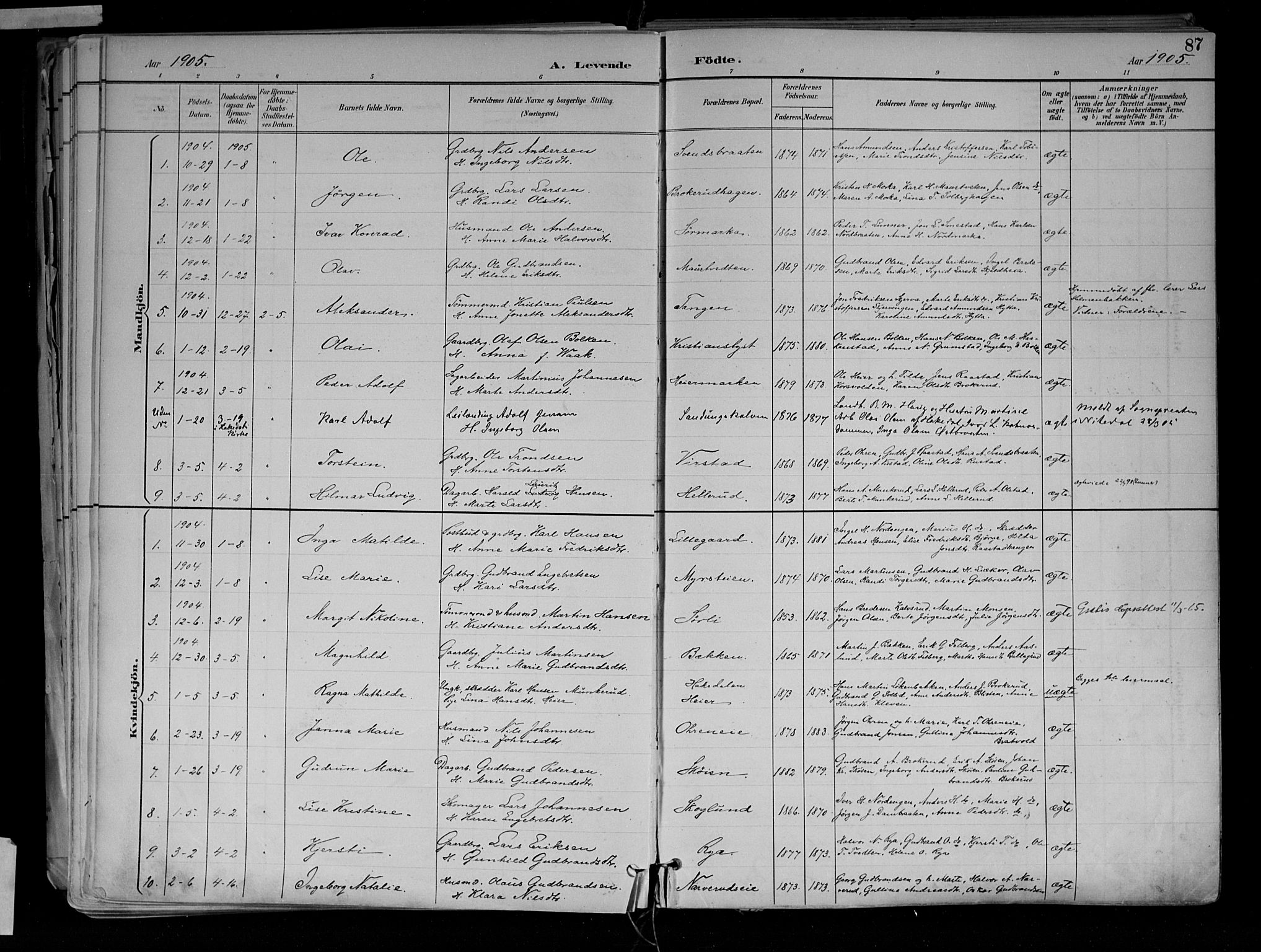 Jevnaker prestekontor, SAH/PREST-116/H/Ha/Haa/L0010: Parish register (official) no. 10, 1891-1906, p. 87