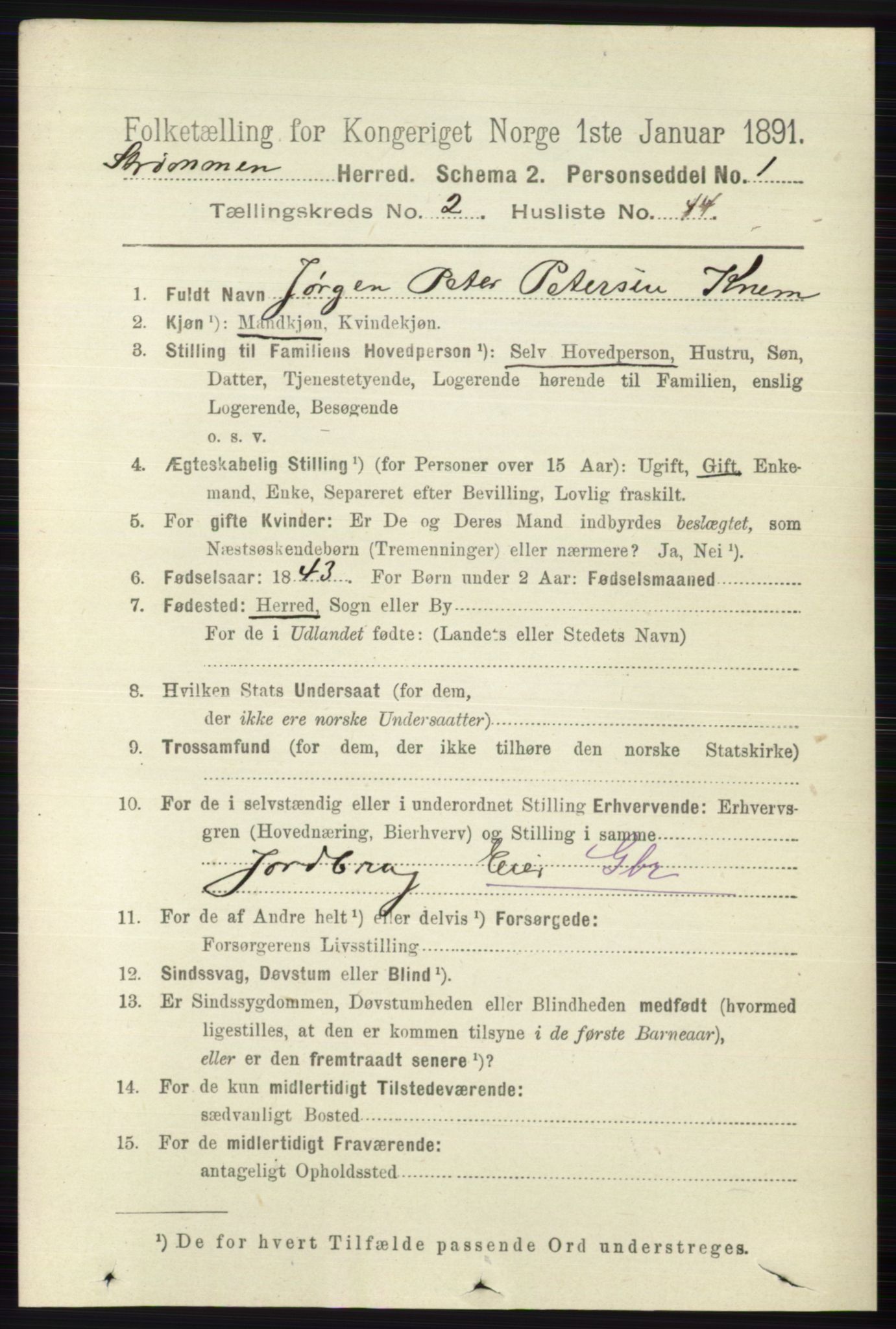 RA, 1891 census for 0711 Strømm, 1891, p. 959