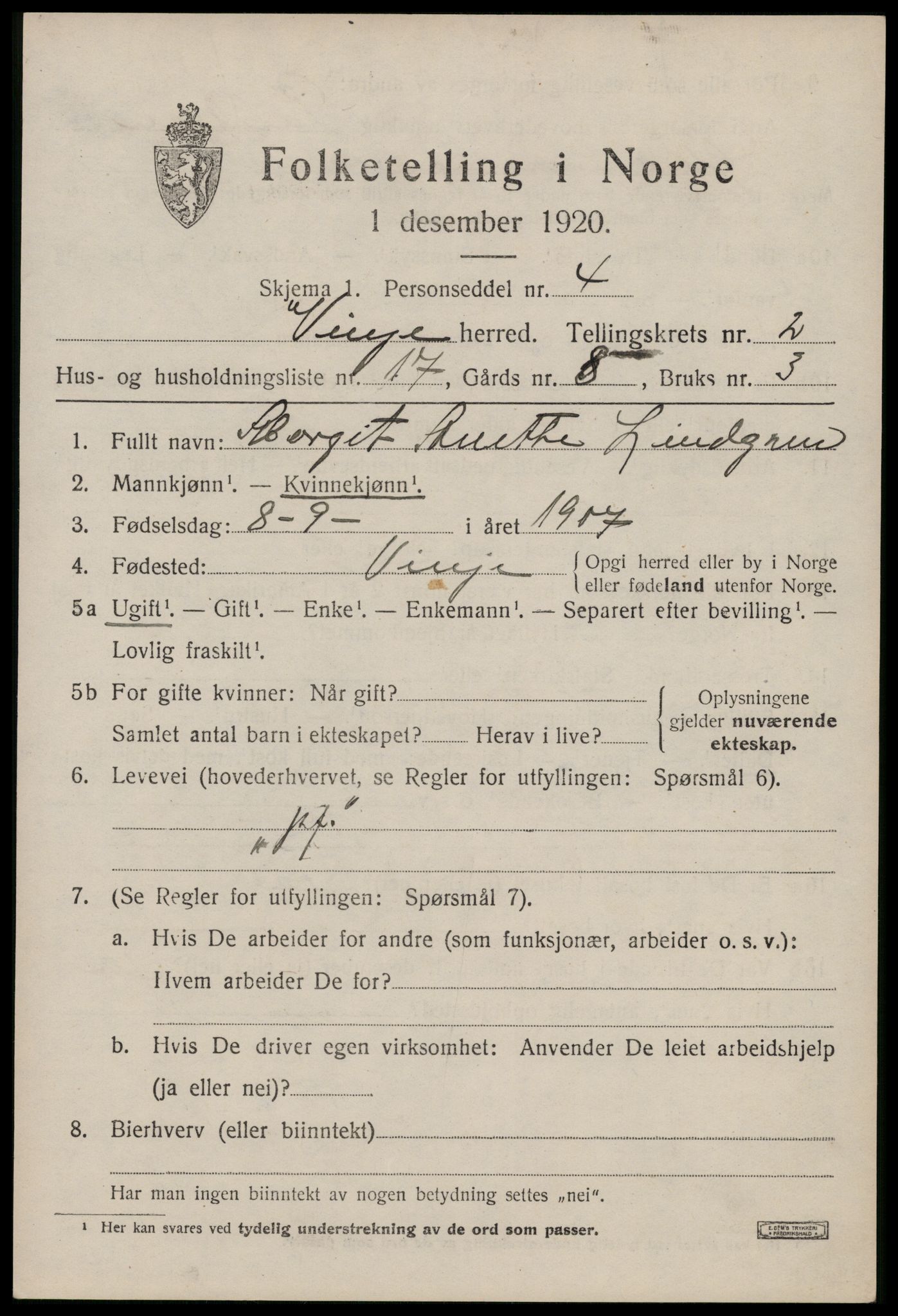 SAKO, 1920 census for Vinje, 1920, p. 1041