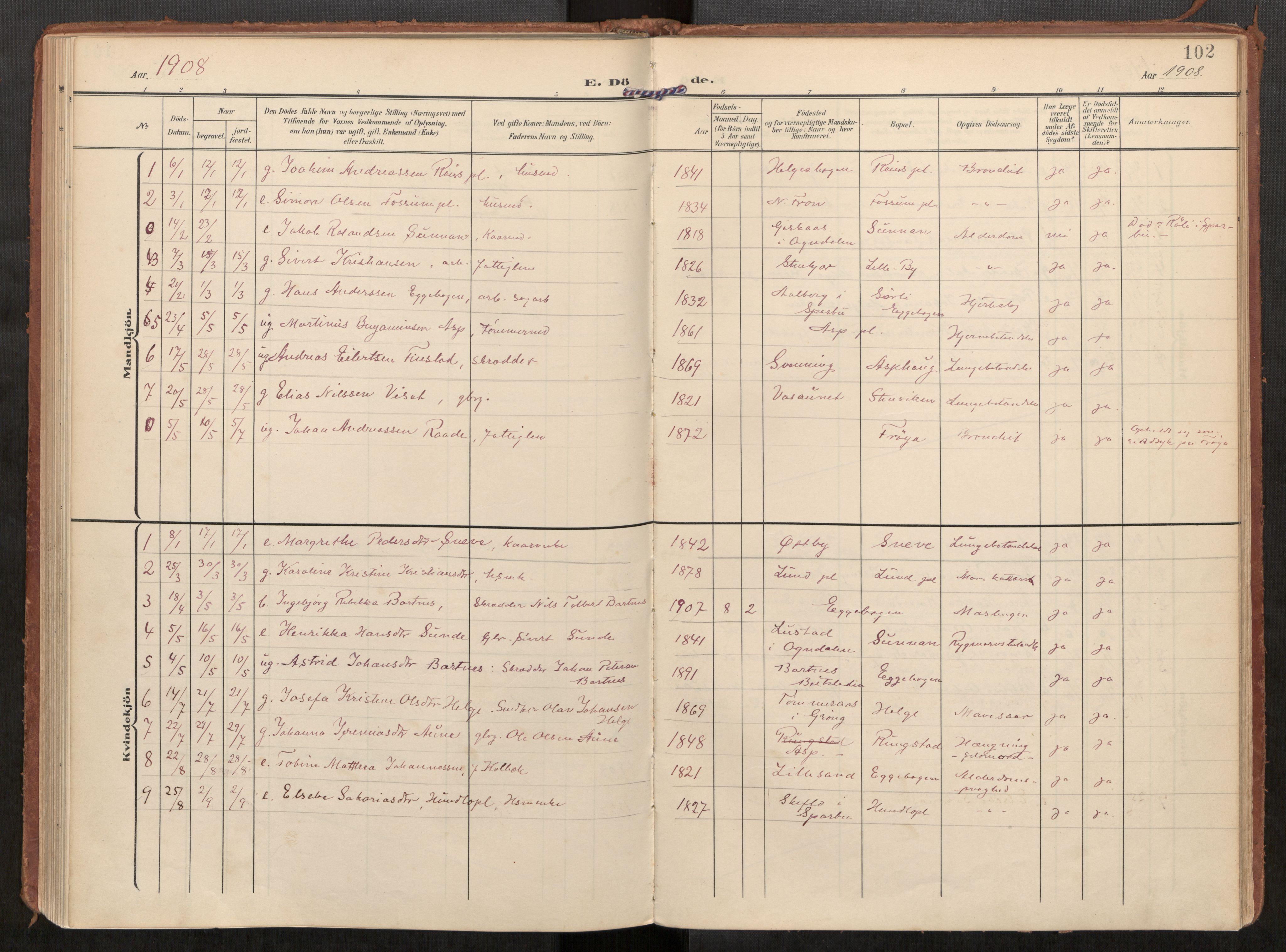 Steinkjer sokneprestkontor, SAT/A-1541/01/H/Ha/Haa/L0002: Parish register (official) no. 2, 1907-1917, p. 102