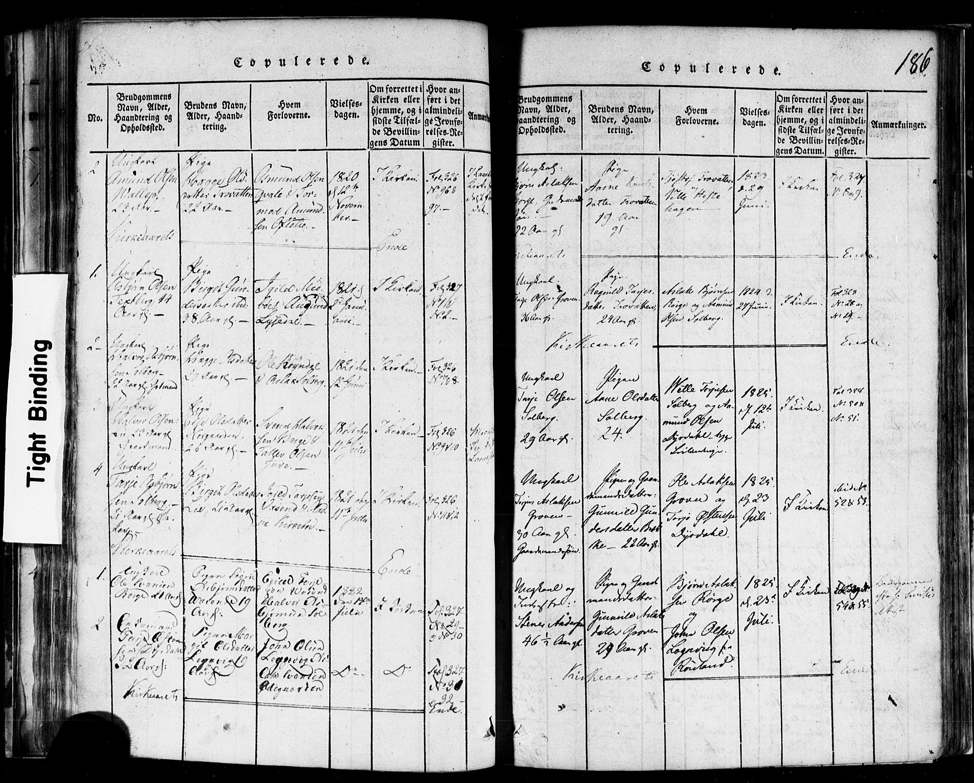 Rauland kirkebøker, AV/SAKO-A-292/F/Fa/L0002: Parish register (official) no. I 2, 1815-1860, p. 186