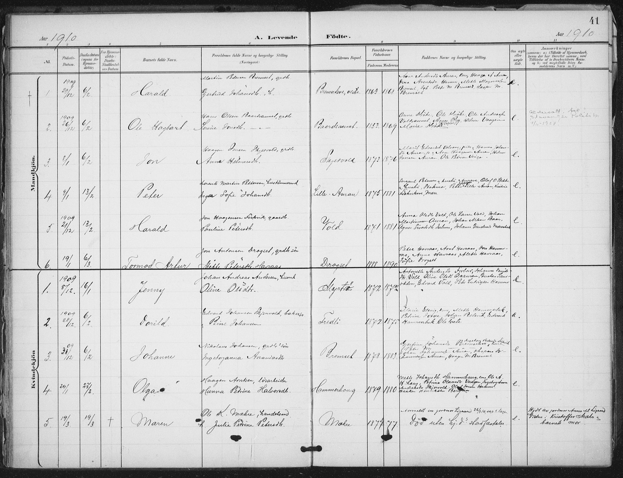 Ministerialprotokoller, klokkerbøker og fødselsregistre - Nord-Trøndelag, SAT/A-1458/712/L0101: Parish register (official) no. 712A02, 1901-1916, p. 41
