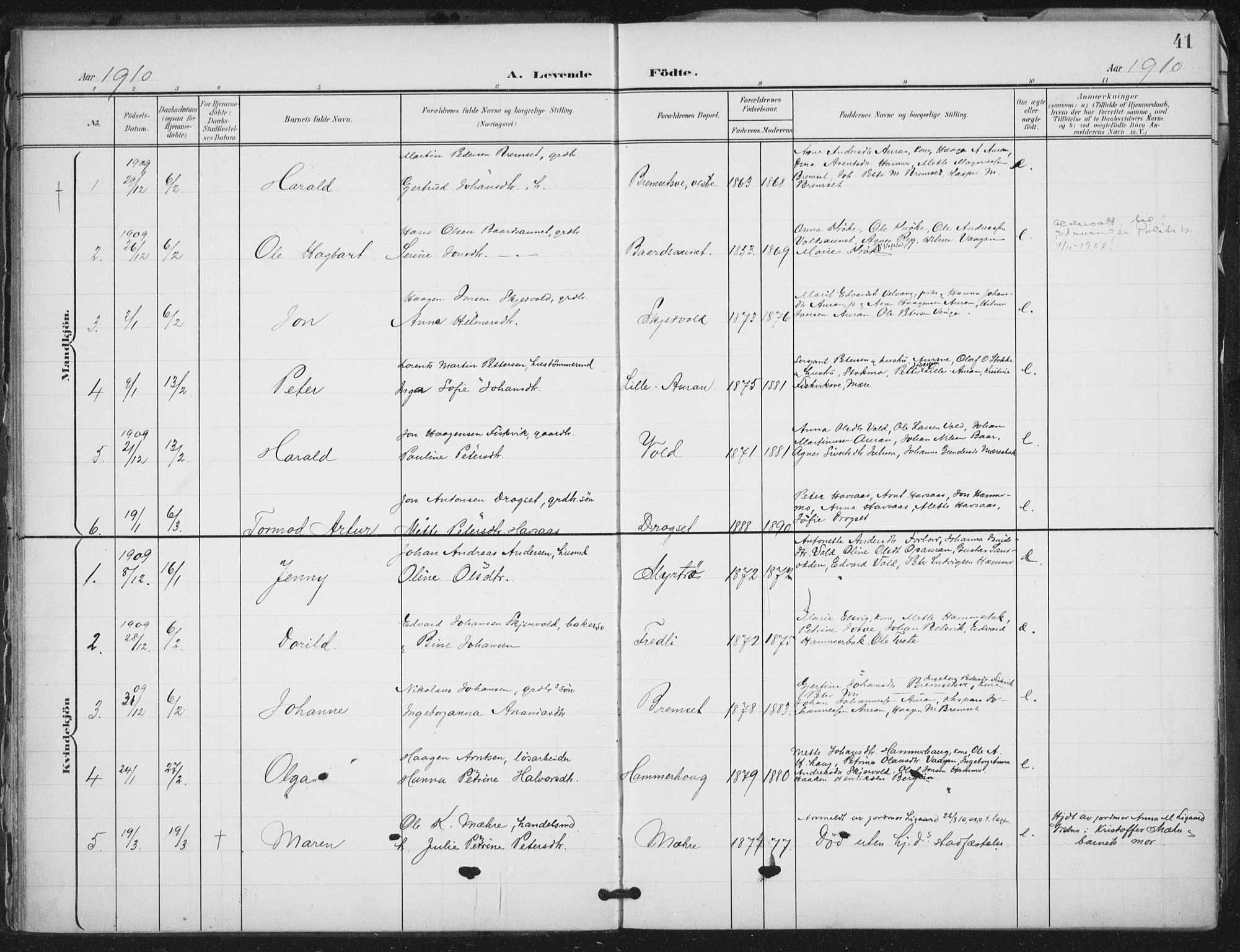 Ministerialprotokoller, klokkerbøker og fødselsregistre - Nord-Trøndelag, AV/SAT-A-1458/712/L0101: Parish register (official) no. 712A02, 1901-1916, p. 41