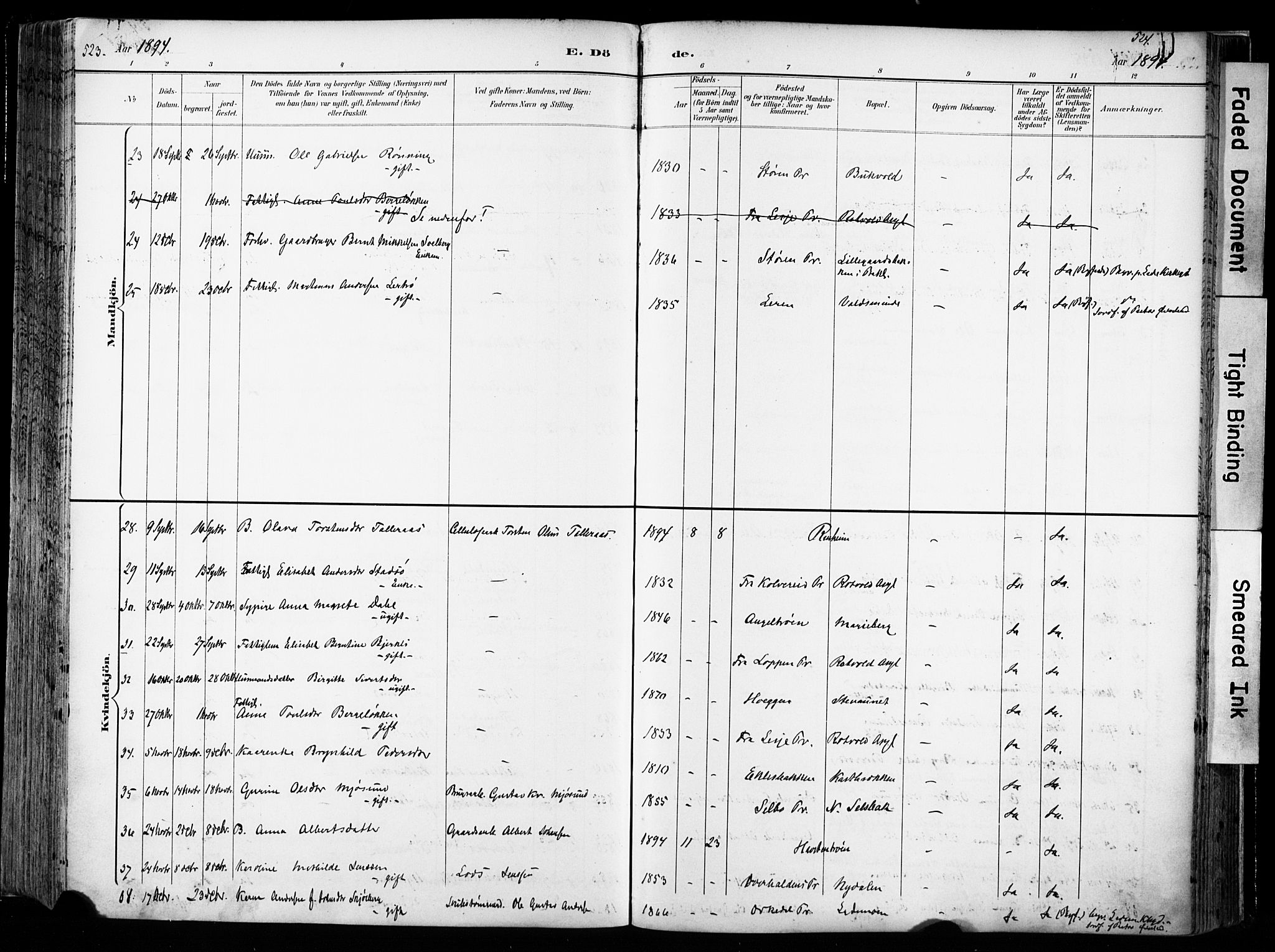 Ministerialprotokoller, klokkerbøker og fødselsregistre - Sør-Trøndelag, SAT/A-1456/606/L0301: Parish register (official) no. 606A16, 1894-1907, p. 523-524