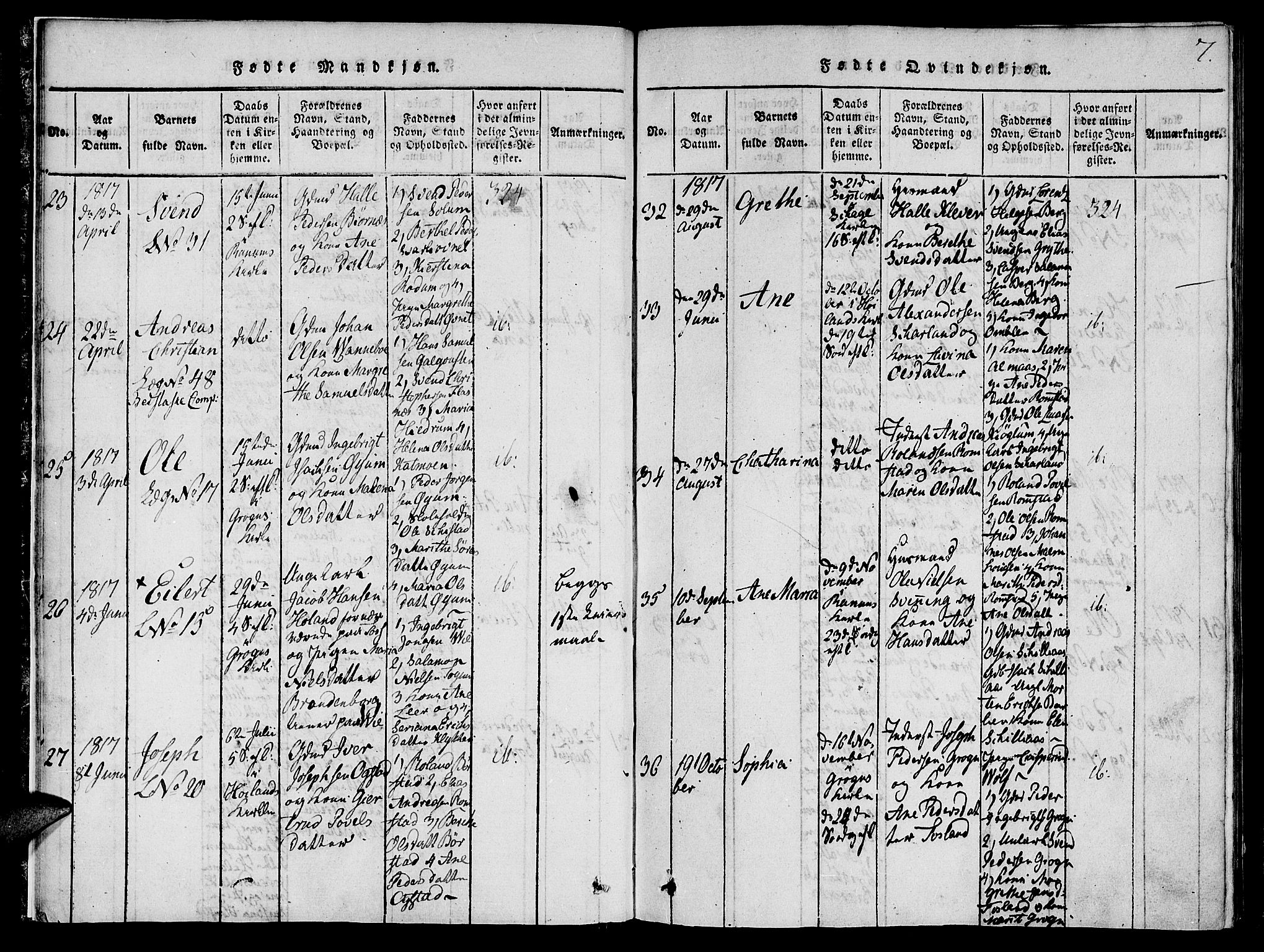 Ministerialprotokoller, klokkerbøker og fødselsregistre - Nord-Trøndelag, AV/SAT-A-1458/764/L0559: Parish register (copy) no. 764C01, 1816-1824, p. 7