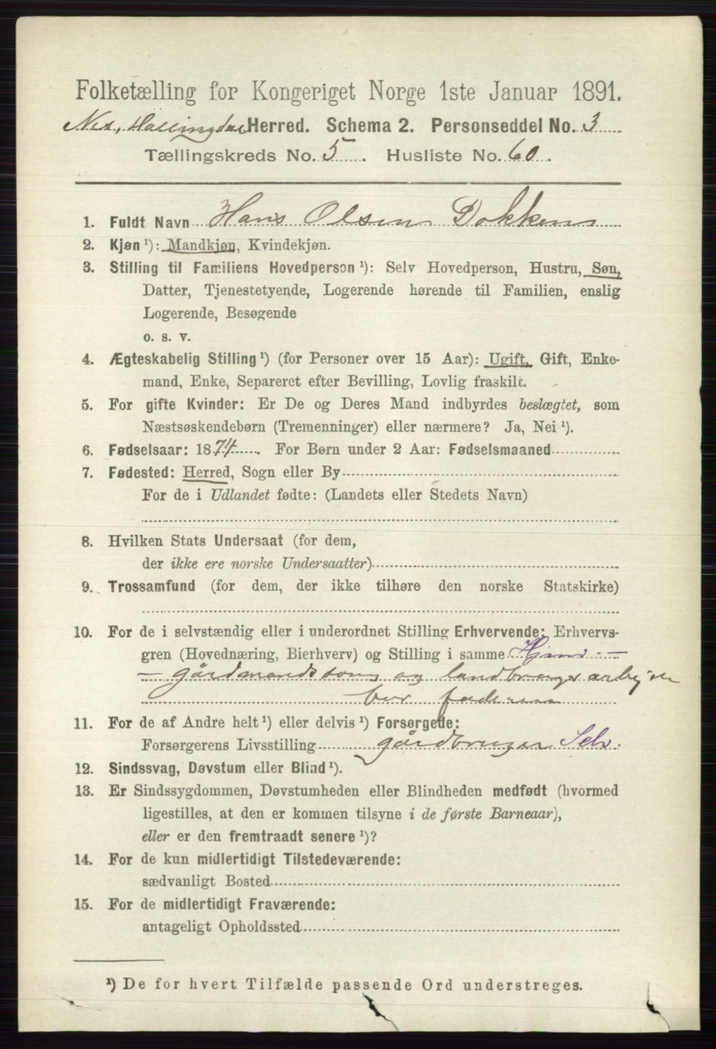 RA, 1891 census for 0616 Nes, 1891, p. 2942