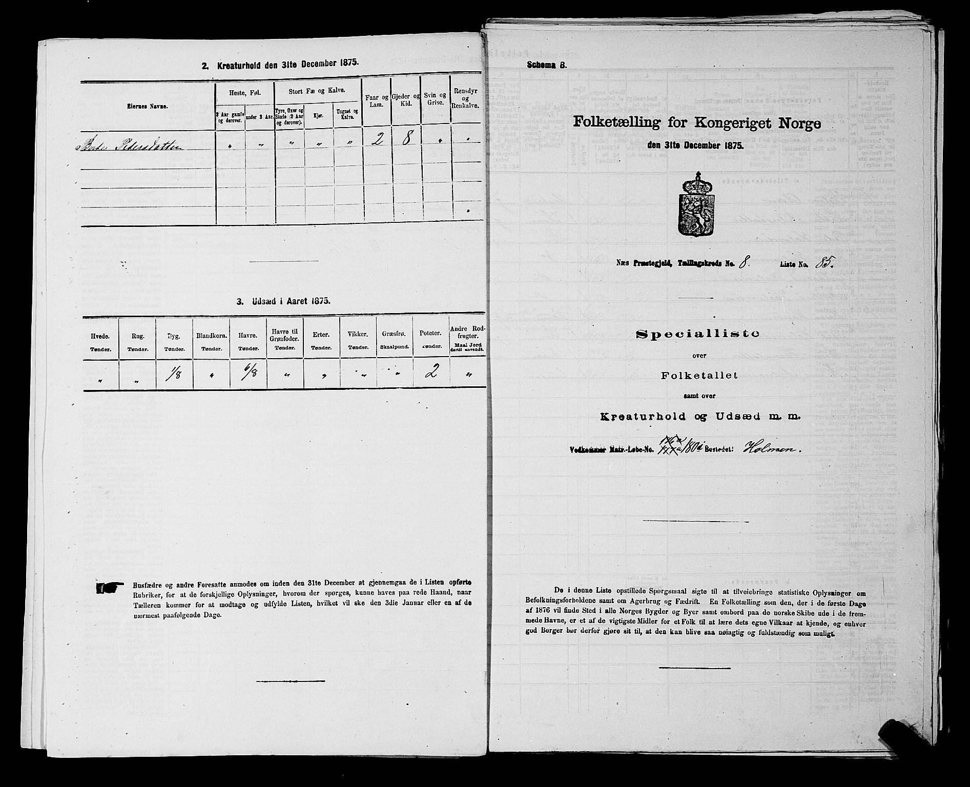 RA, 1875 census for 0236P Nes, 1875, p. 1398