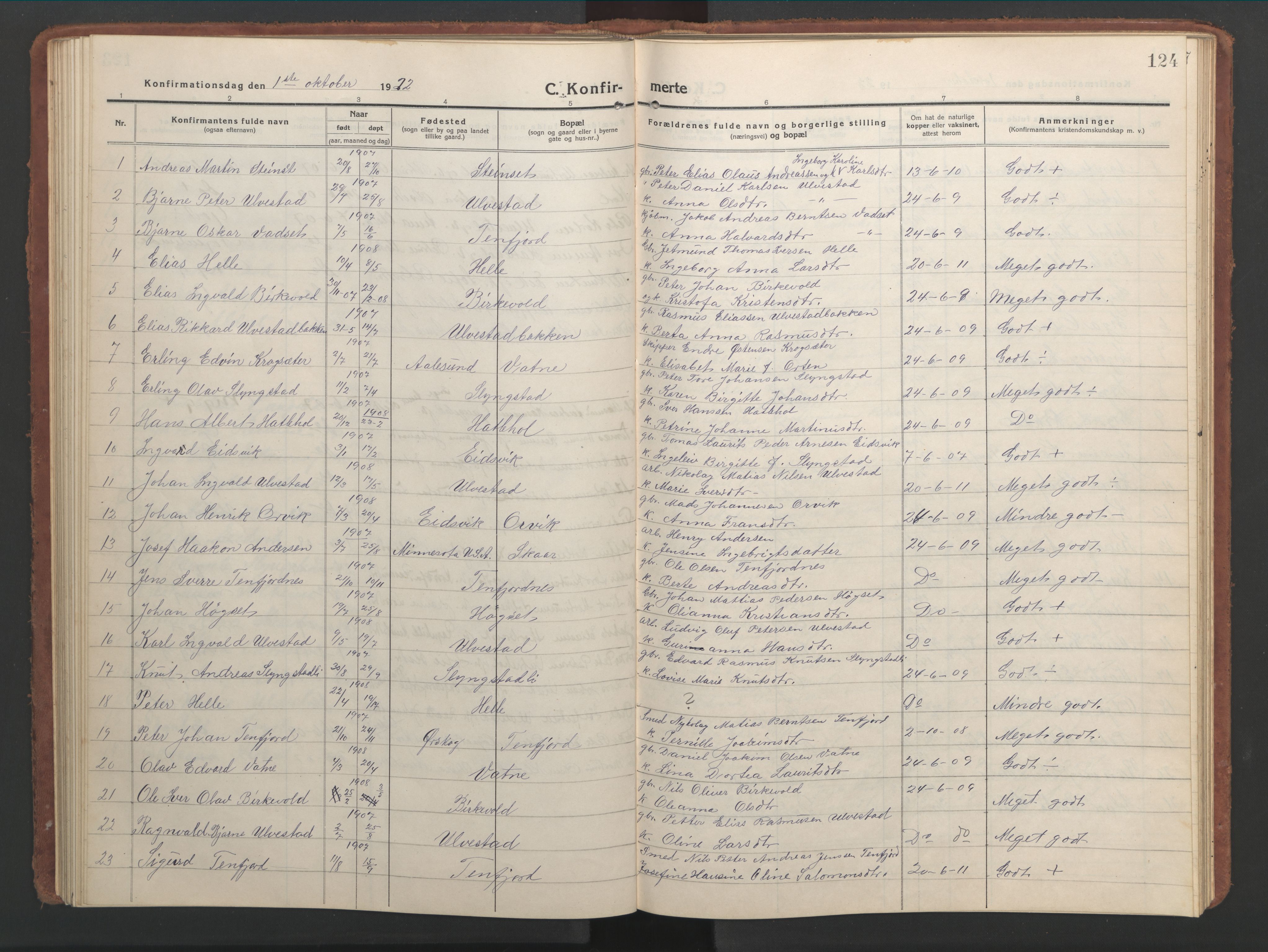 Ministerialprotokoller, klokkerbøker og fødselsregistre - Møre og Romsdal, SAT/A-1454/525/L0378: Parish register (copy) no. 525C04, 1915-1947, p. 124