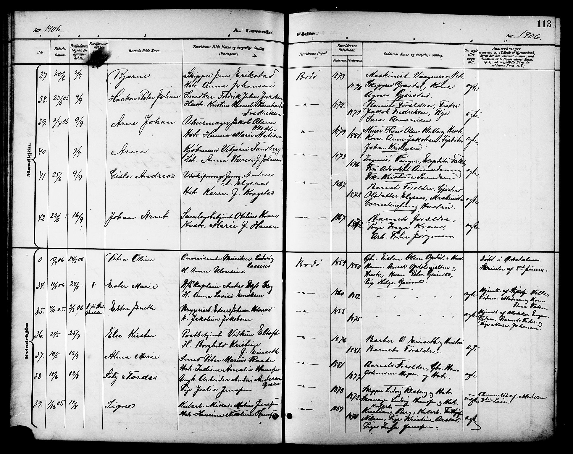 Ministerialprotokoller, klokkerbøker og fødselsregistre - Nordland, AV/SAT-A-1459/801/L0033: Parish register (copy) no. 801C08, 1898-1910, p. 113