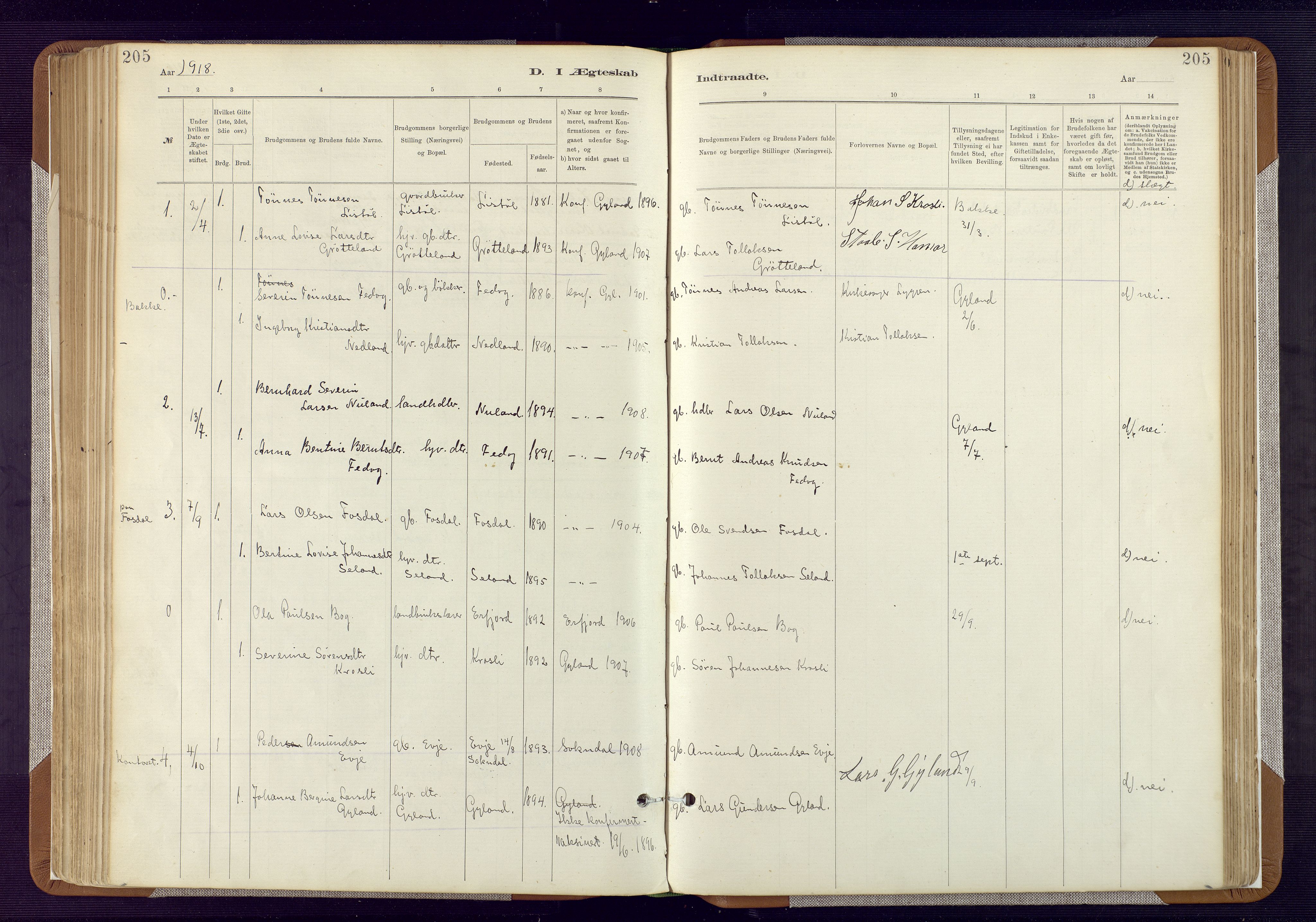 Bakke sokneprestkontor, SAK/1111-0002/F/Fa/Fab/L0003: Parish register (official) no. A 3, 1884-1921, p. 205