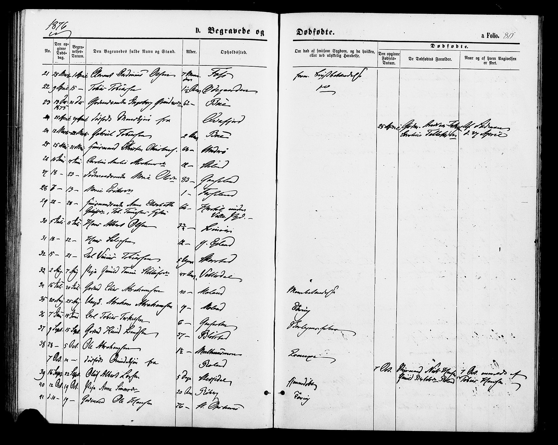Sør-Audnedal sokneprestkontor, SAK/1111-0039/F/Fa/Fab/L0008: Parish register (official) no. A 8, 1876-1881, p. 80