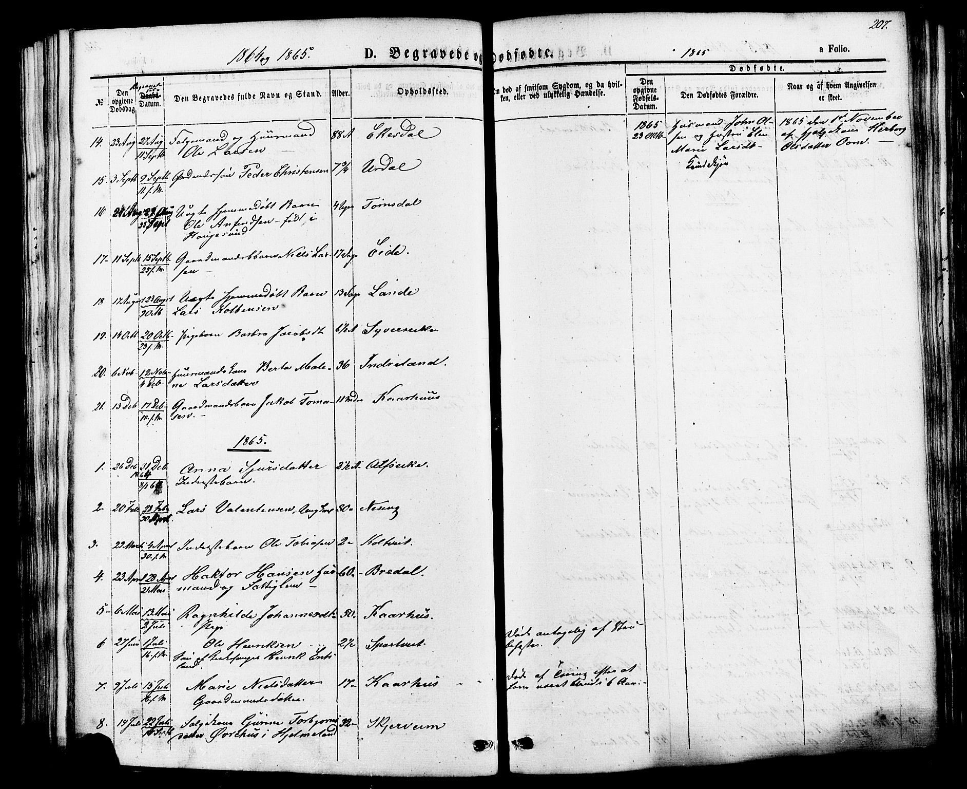 Skjold sokneprestkontor, AV/SAST-A-101847/H/Ha/Haa/L0007: Parish register (official) no. A 7, 1857-1882, p. 207