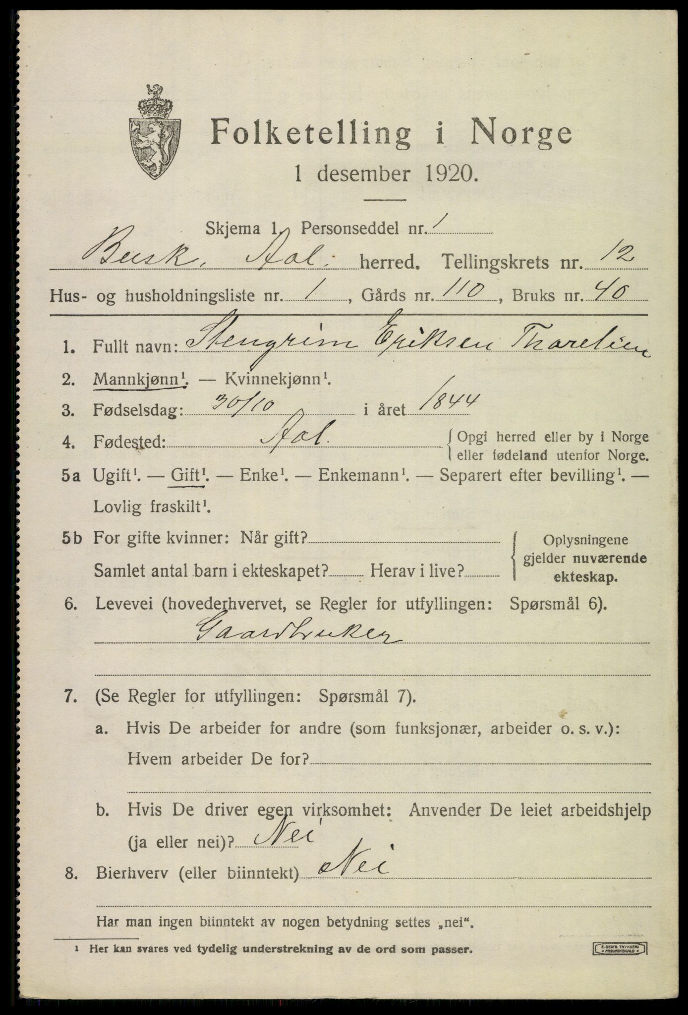 SAKO, 1920 census for Ål, 1920, p. 6580