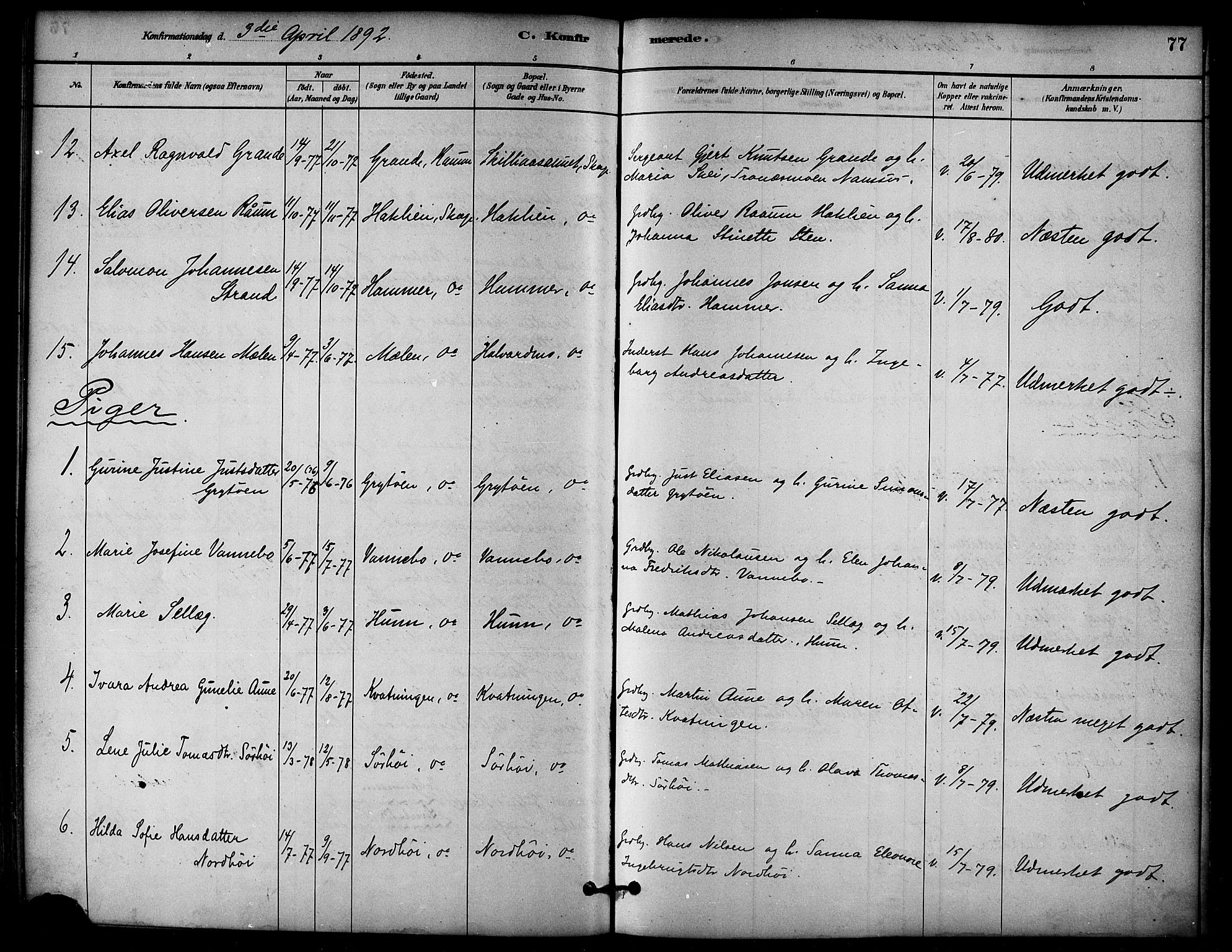 Ministerialprotokoller, klokkerbøker og fødselsregistre - Nord-Trøndelag, SAT/A-1458/766/L0563: Parish register (official) no. 767A01, 1881-1899, p. 77